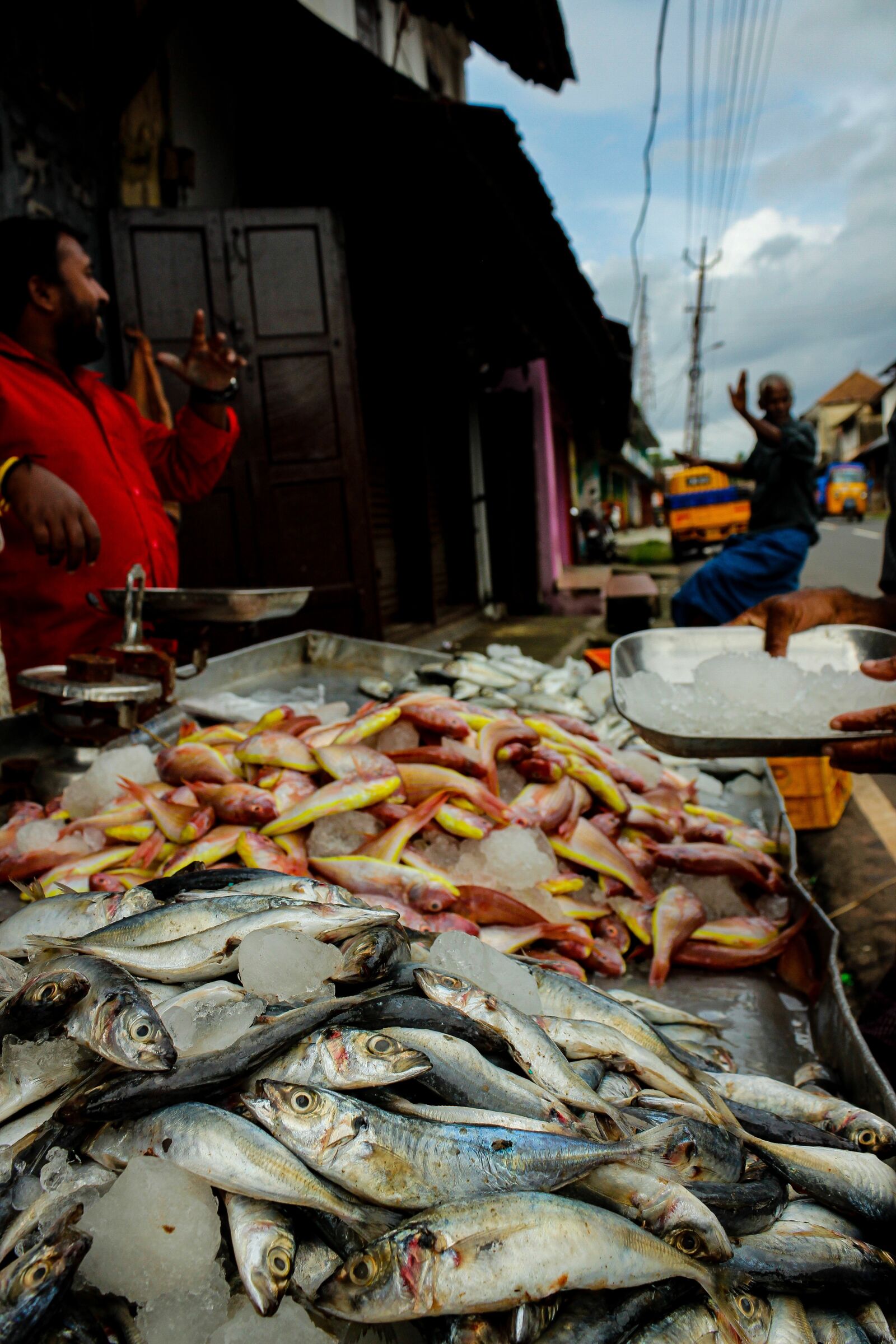 Canon EOS 600D (Rebel EOS T3i / EOS Kiss X5) sample photo. Fish, hub, boating photography