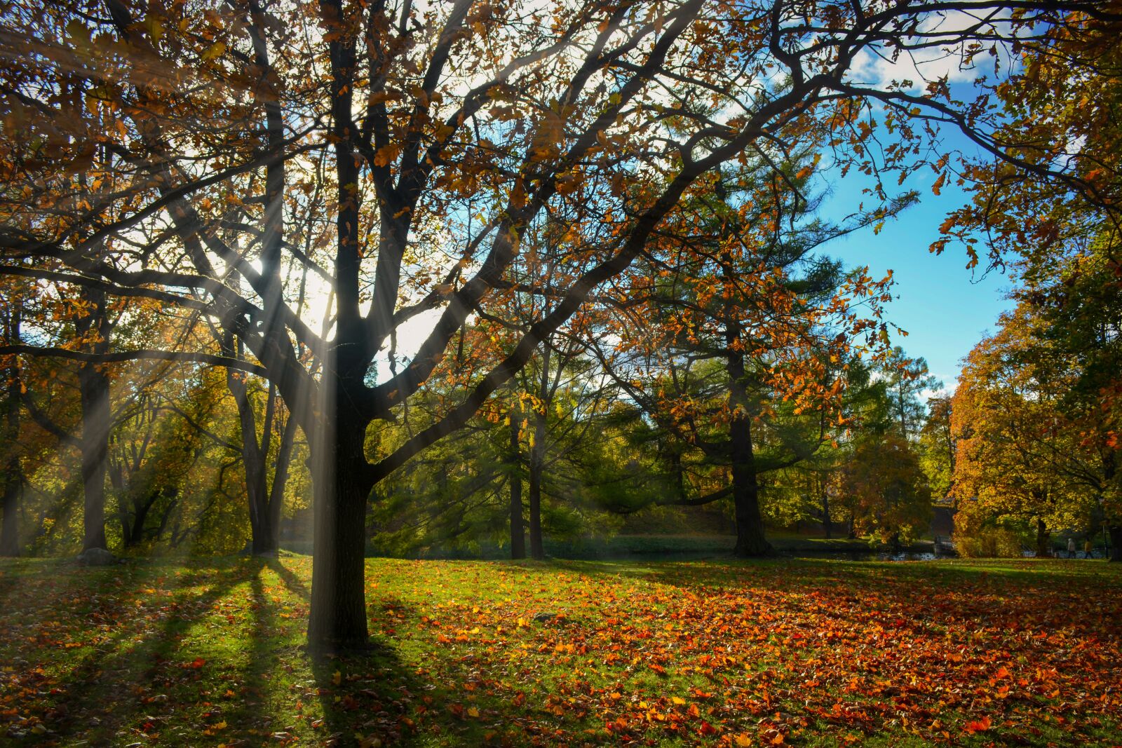 Nikon D5200 sample photo. Landscape, park, autumn photography