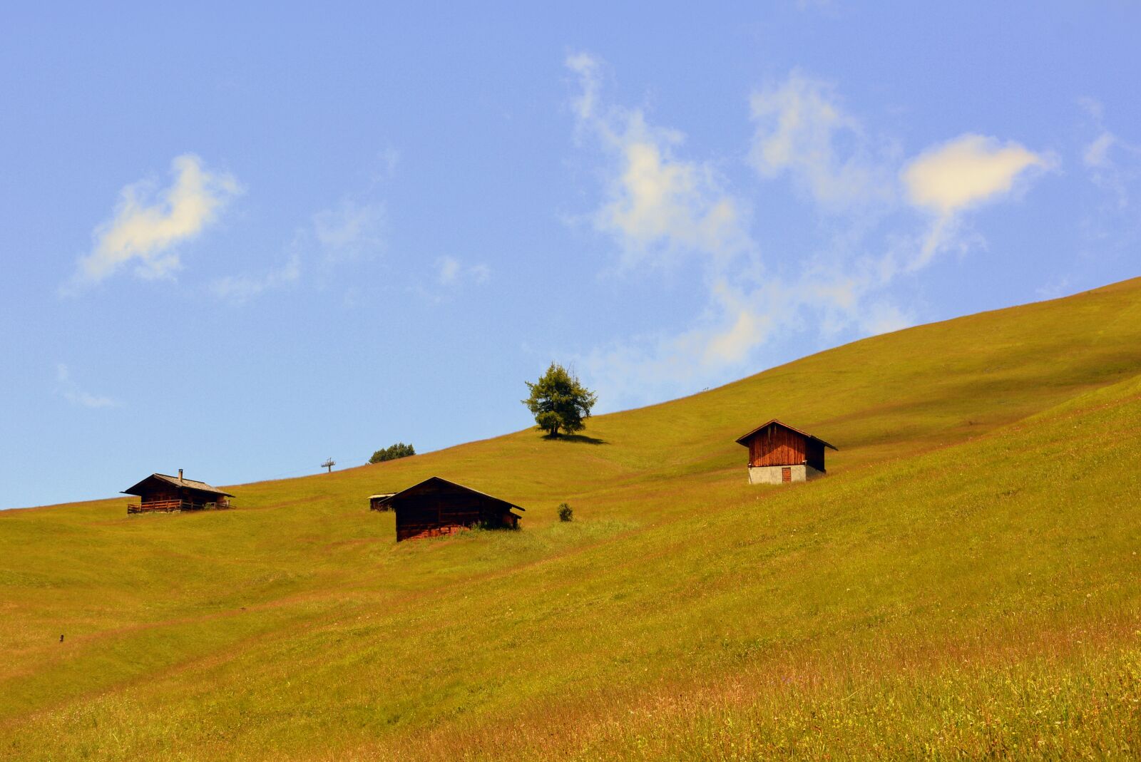 Nikon D7100 sample photo. Alm, house, mountain photography