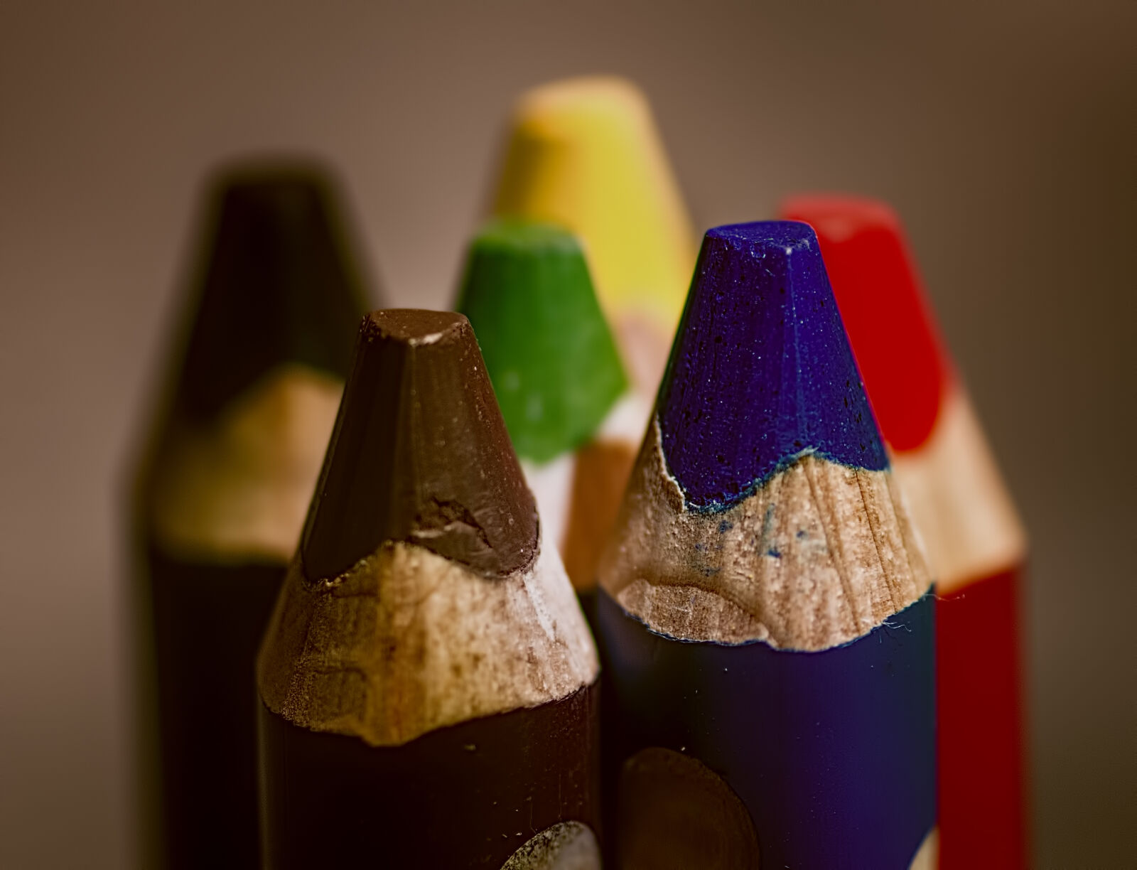 Nikon AF-S Micro-Nikkor 105mm F2.8G IF-ED VR sample photo. Color, pencil, colors, pencil photography