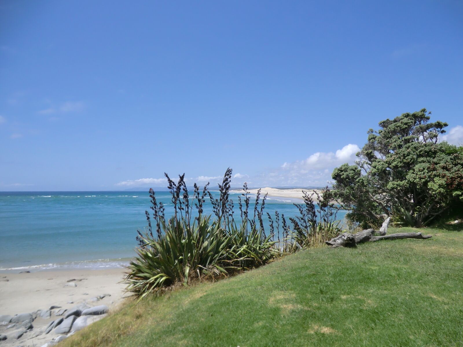 CASIO EX-H5 sample photo. New zealand, sea, rush photography