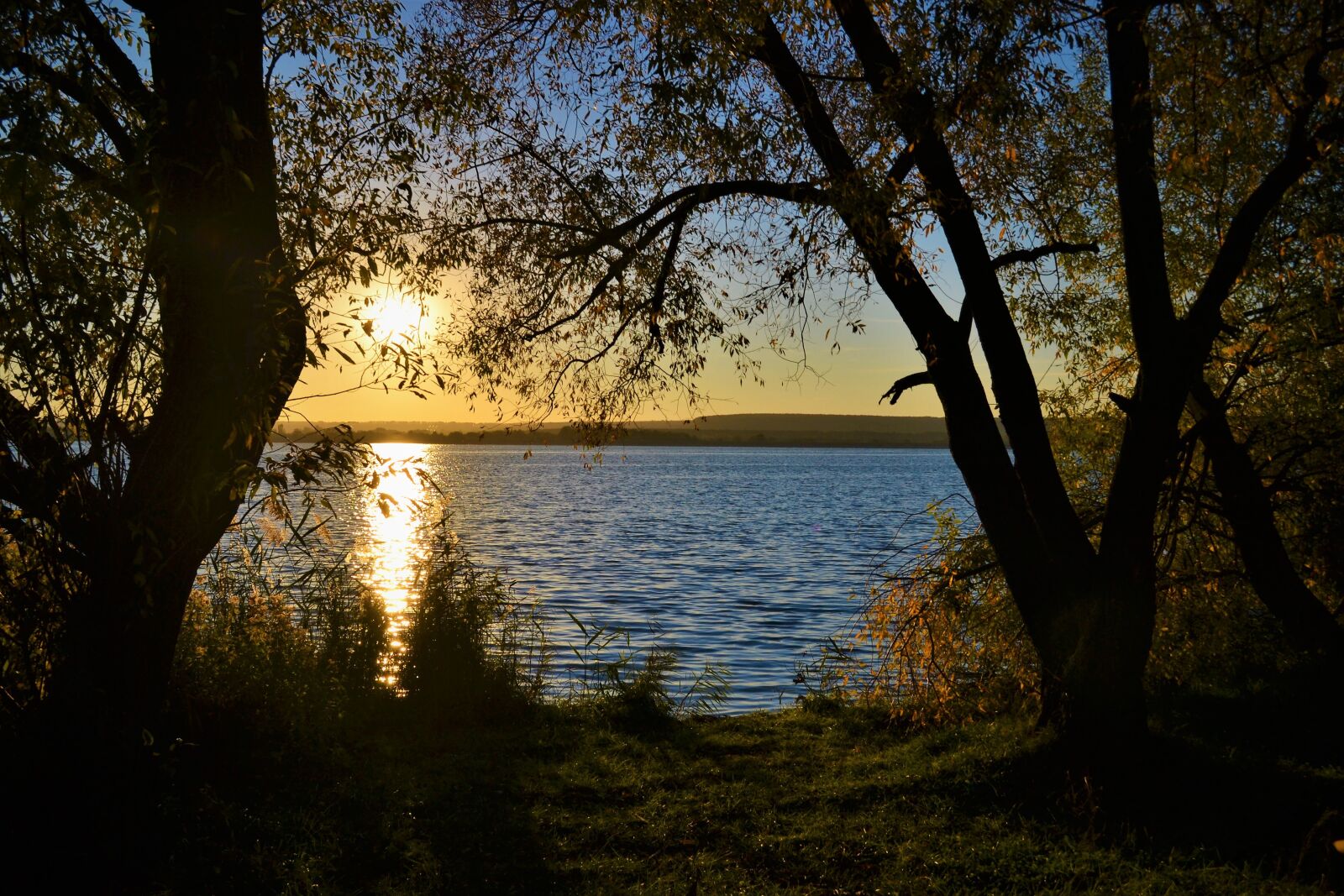 Nikon D3100 sample photo. Sunset, nature, landscape photography