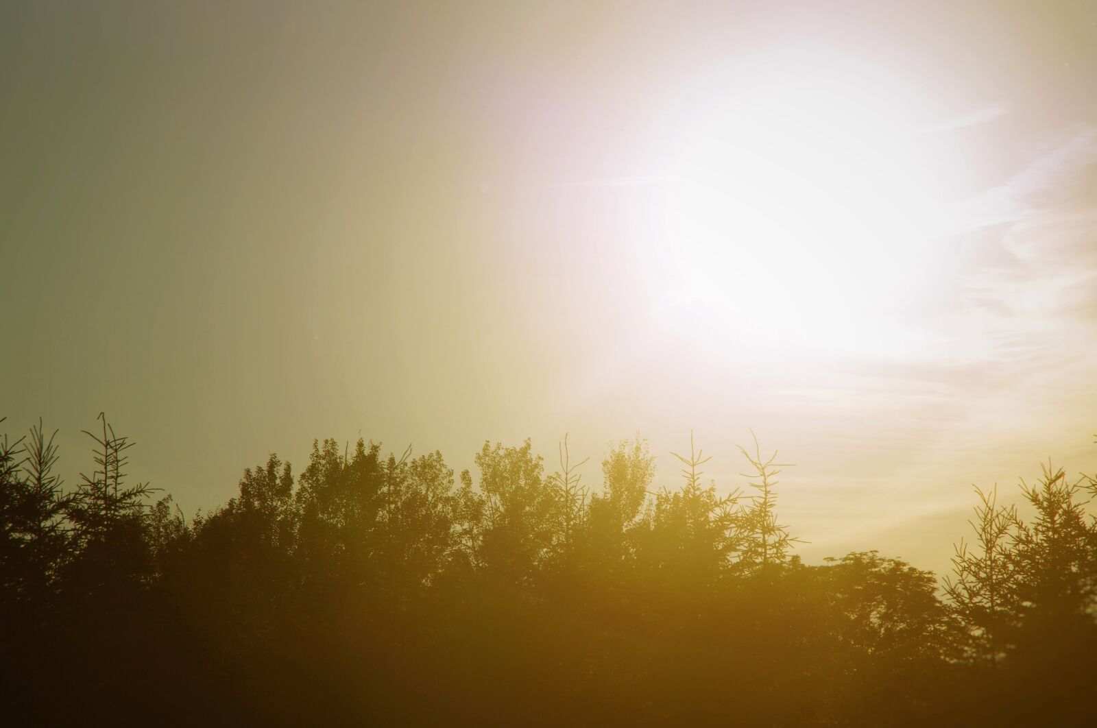 Sony DT 18-200mm F3.5-6.3 sample photo. Dawn, dusk, fog photography