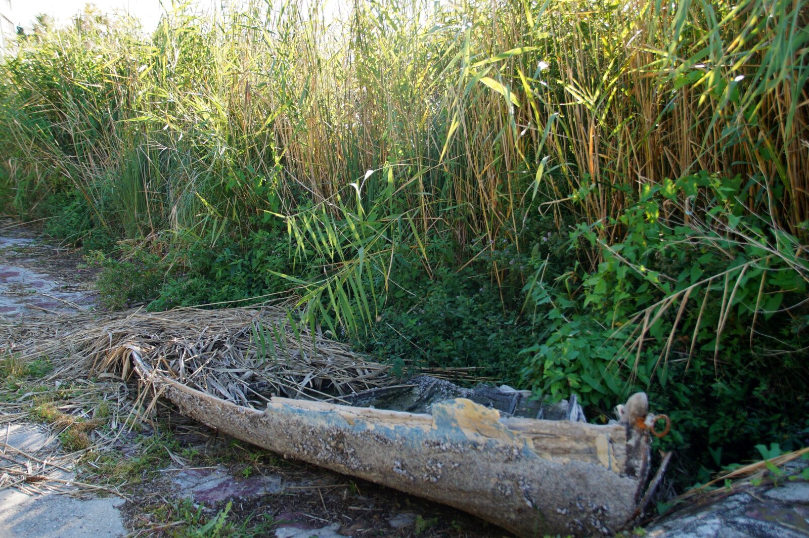 Sony SLT-A58 sample photo. Rowboat, the wreck of photography
