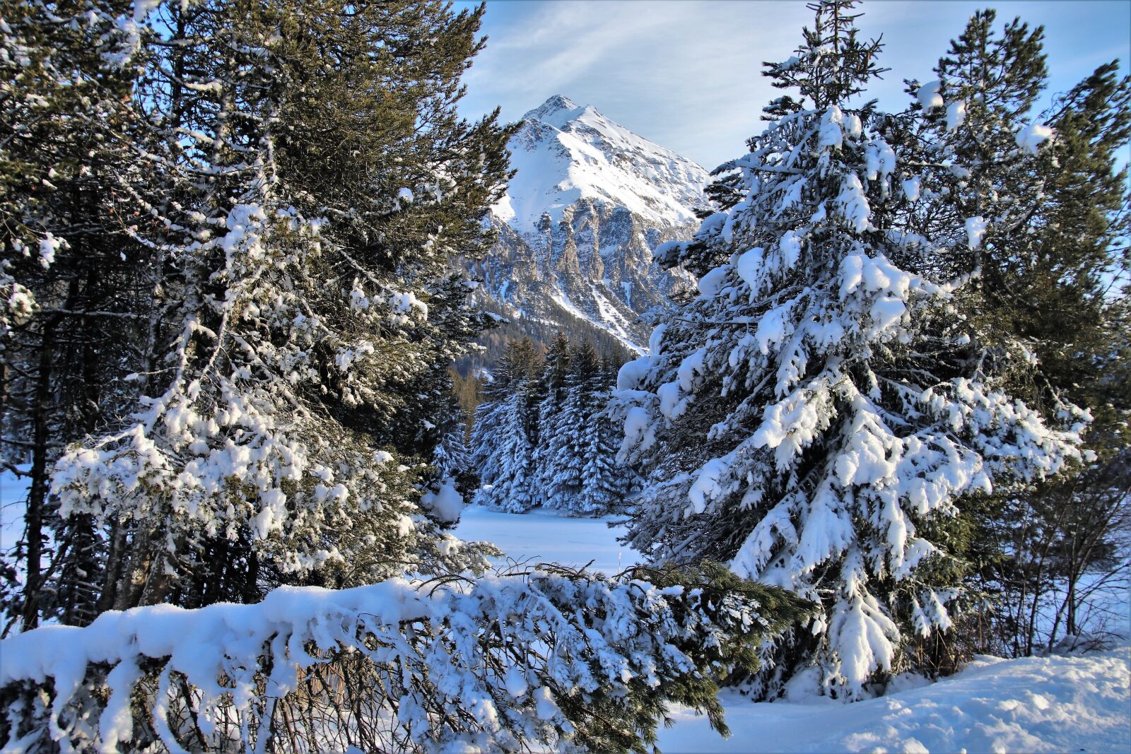 Canon EOS 80D sample photo. Peak, alpine, forest photography