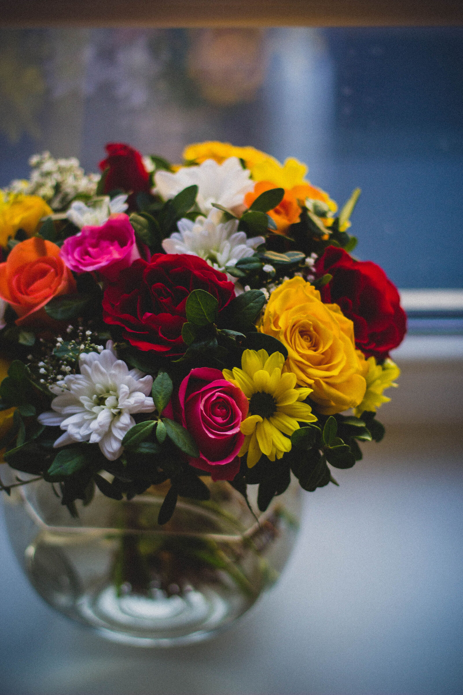 Canon EOS 600D (Rebel EOS T3i / EOS Kiss X5) + Canon EF 50mm F1.8 II sample photo. Artistic, backdrop, beauty, bloom photography