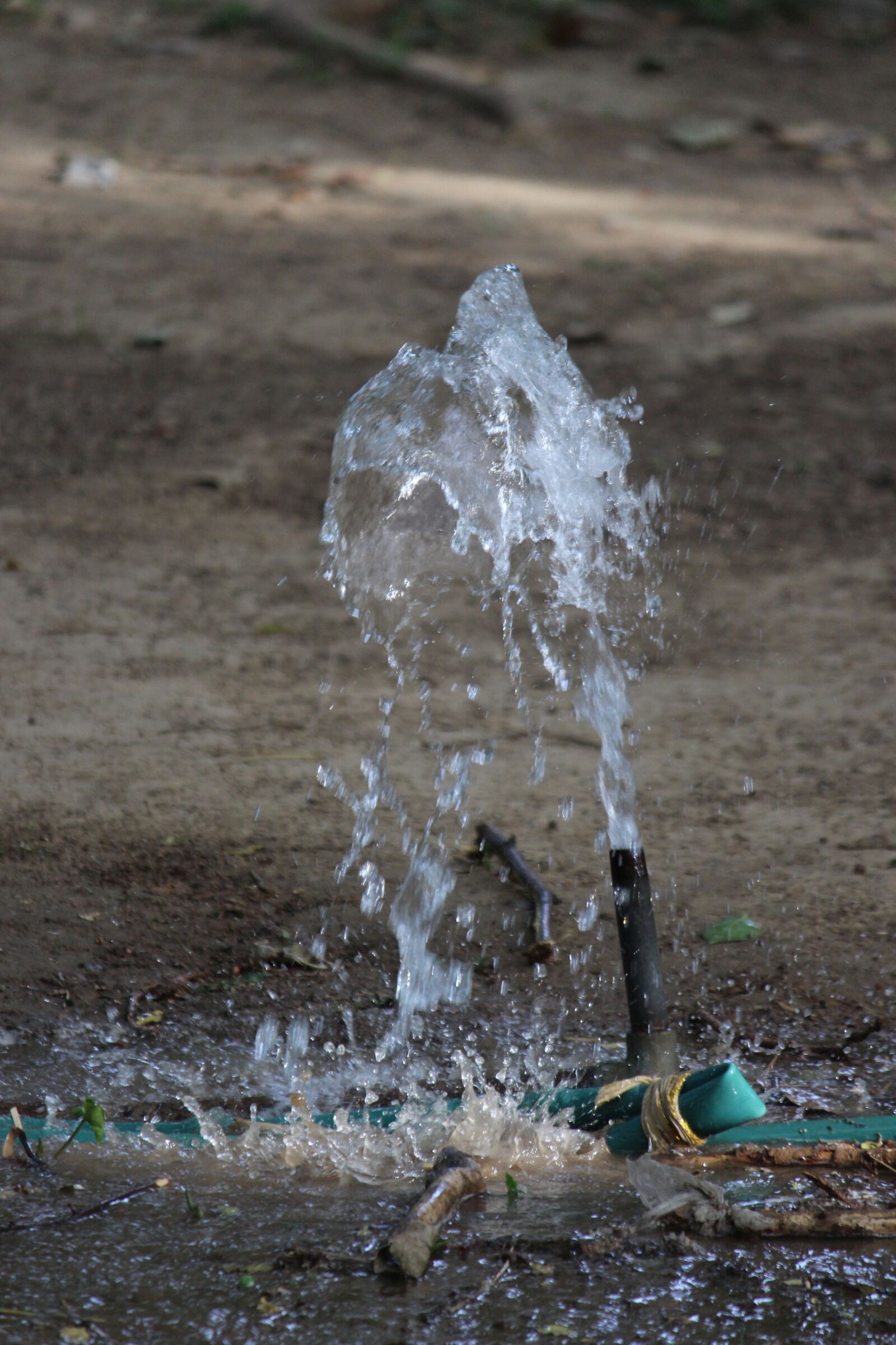 Canon EOS 700D (EOS Rebel T5i / EOS Kiss X7i) sample photo. Water, wastage, save photography