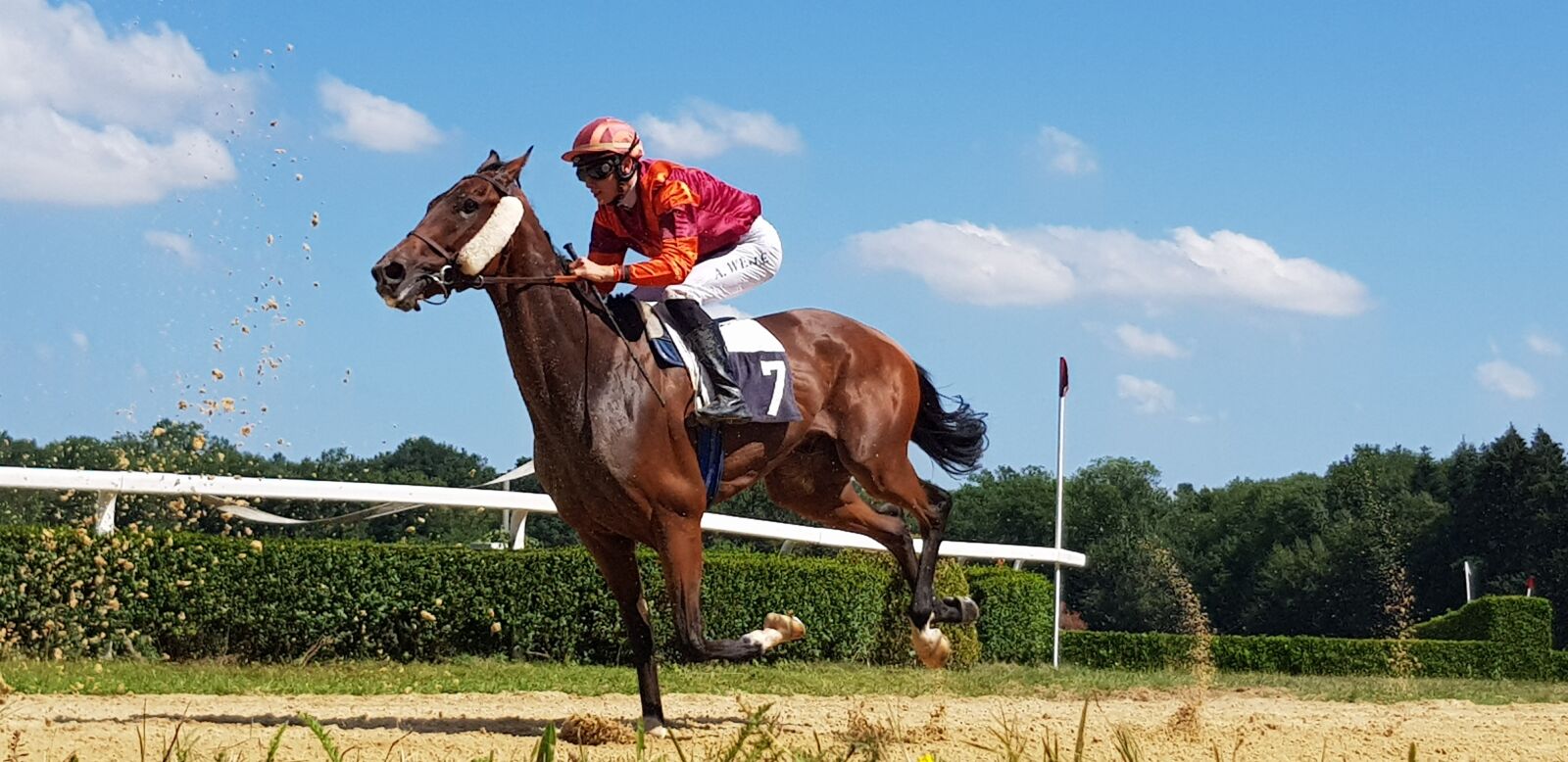 Samsung Galaxy S8 sample photo. Jockey, horse racing, racecourse photography