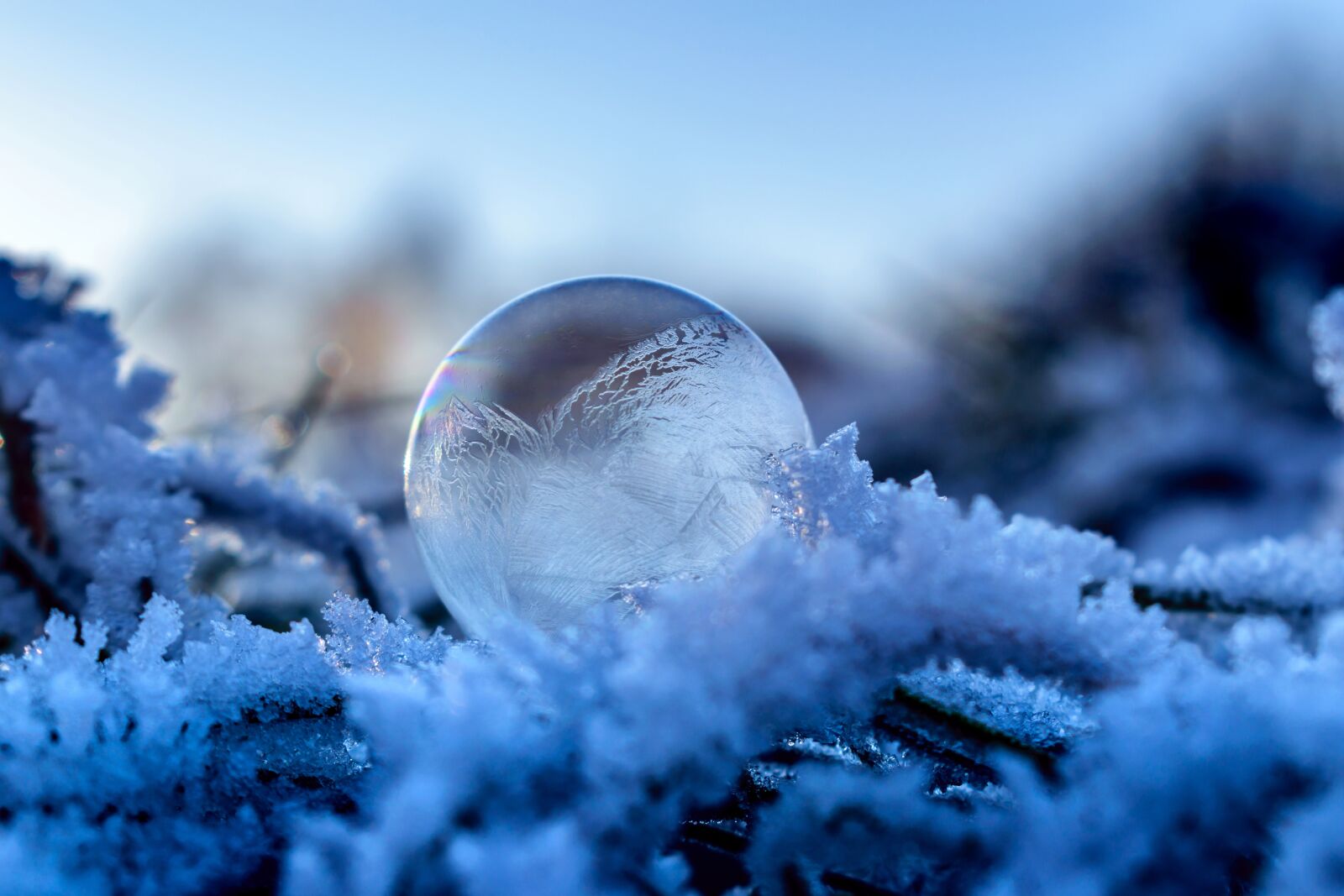 Nikon D5300 sample photo. Soap bubble, frozen, frozen photography