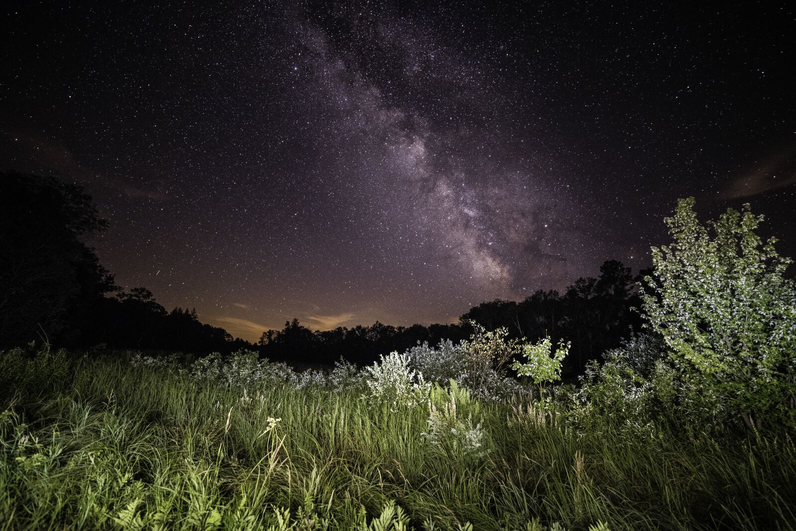 Nikon D750 sample photo. Astrophotography, milky way, galaxy photography