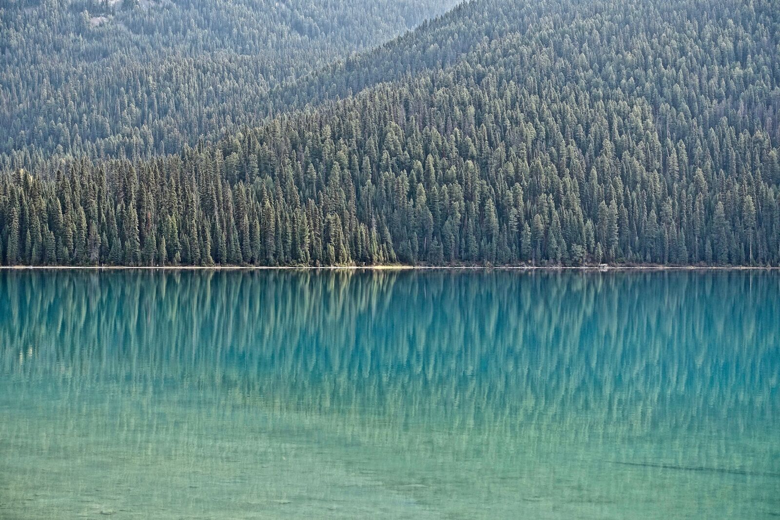 Sony Cyber-shot DSC-RX100 III sample photo. Water, forest shore, reflection photography