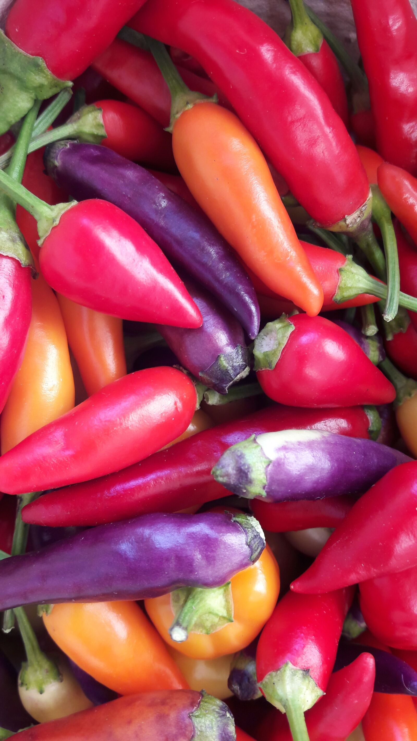 Samsung Galaxy A5(2016) sample photo. Vegetables, food, red photography