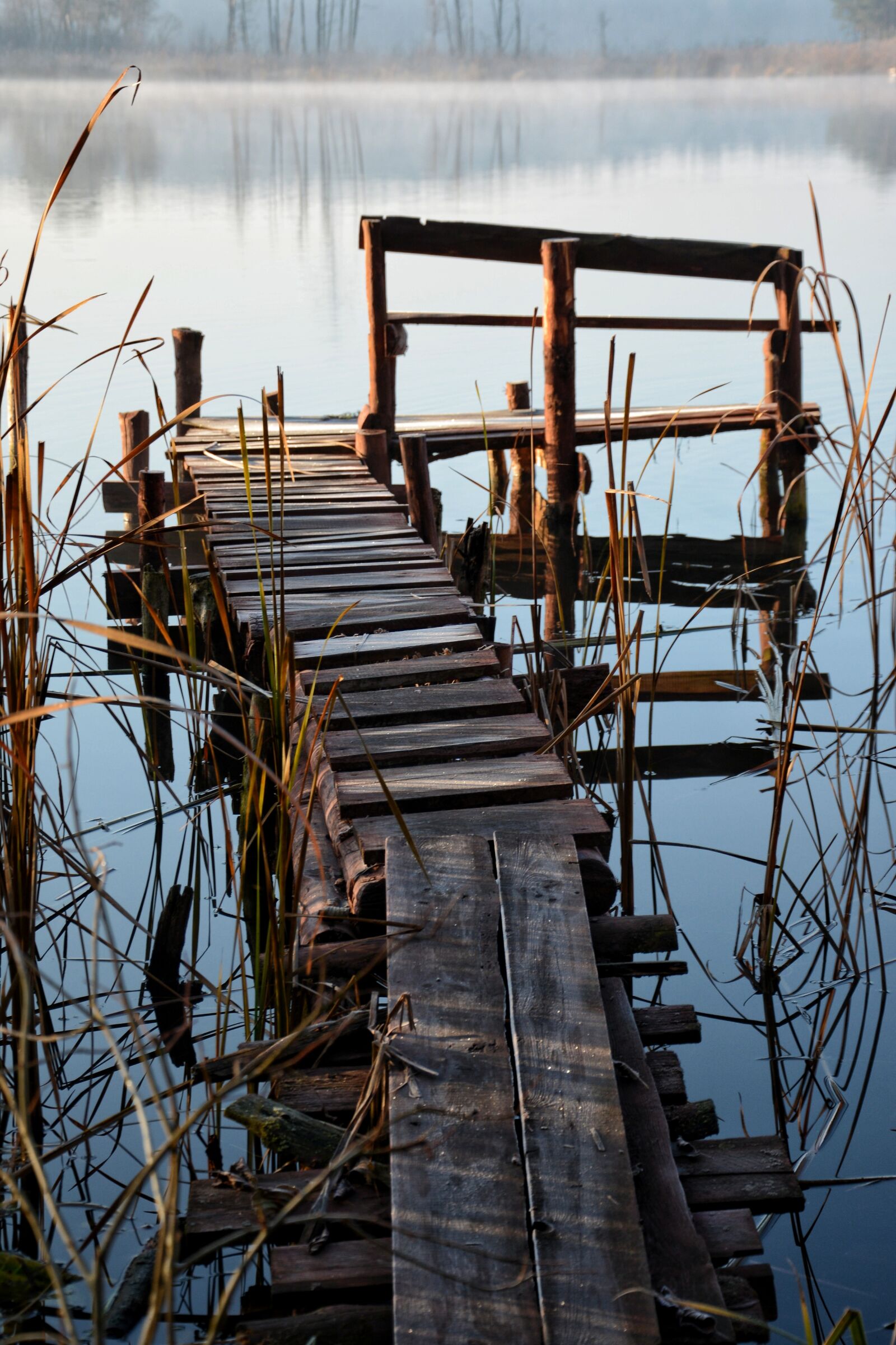 Nikon D7100 sample photo. Lake, morning, the fog photography