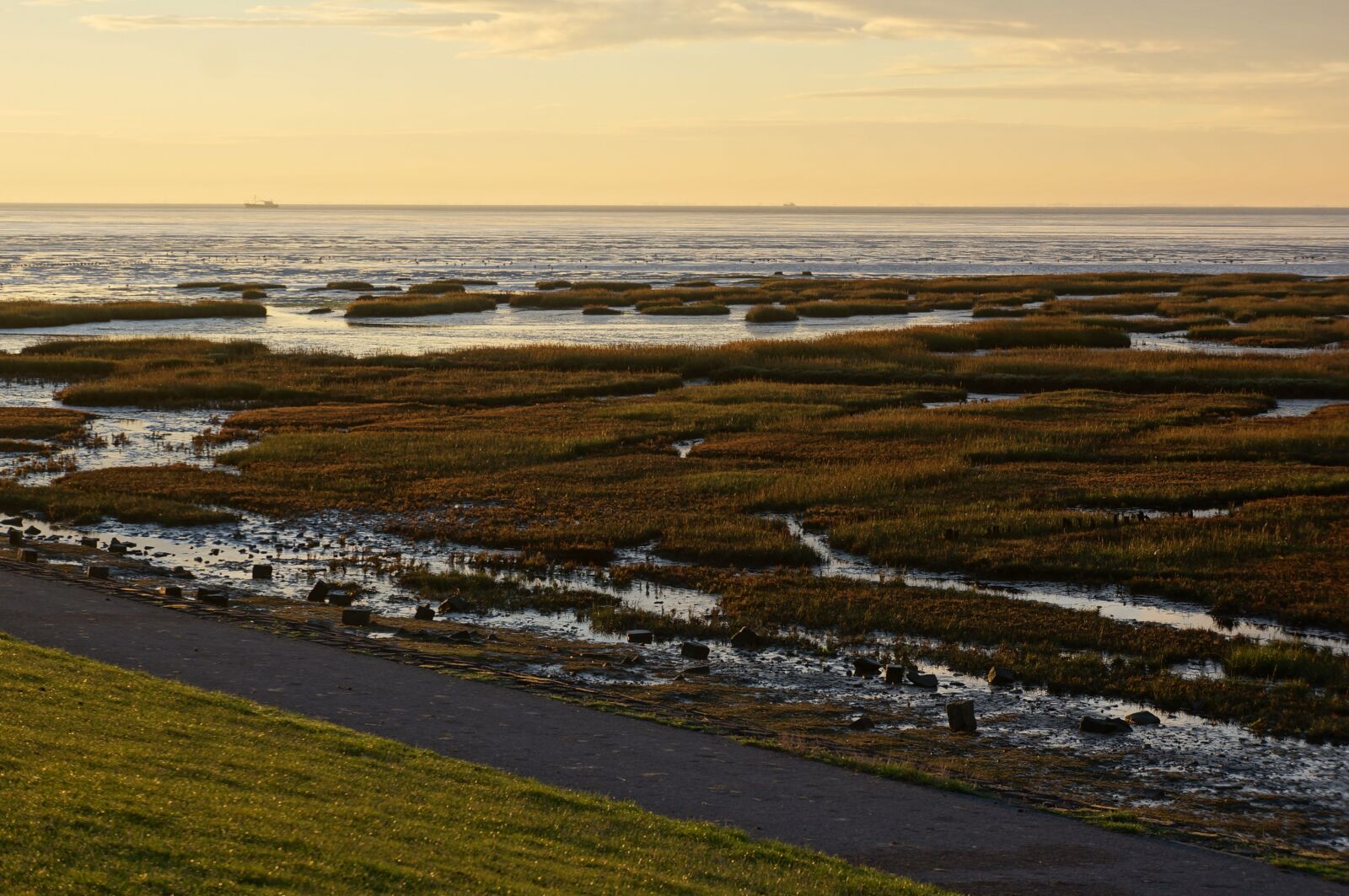 Sony Alpha NEX-5N + Sony E 18-55mm F3.5-5.6 OSS sample photo. Summer, terschelling, land photography
