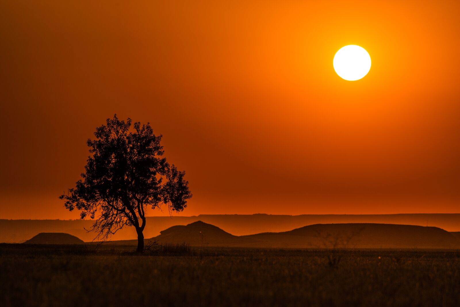 Nikon D750 sample photo. Landscape, sun, nature photography
