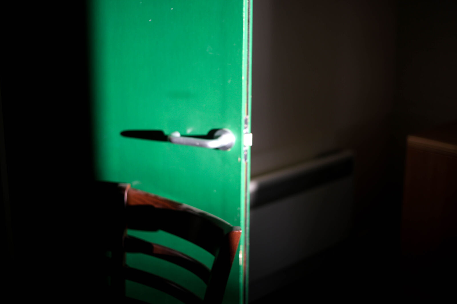 Canon EOS 6D + Canon EF 50mm F1.8 STM sample photo. Light, on, a, green photography