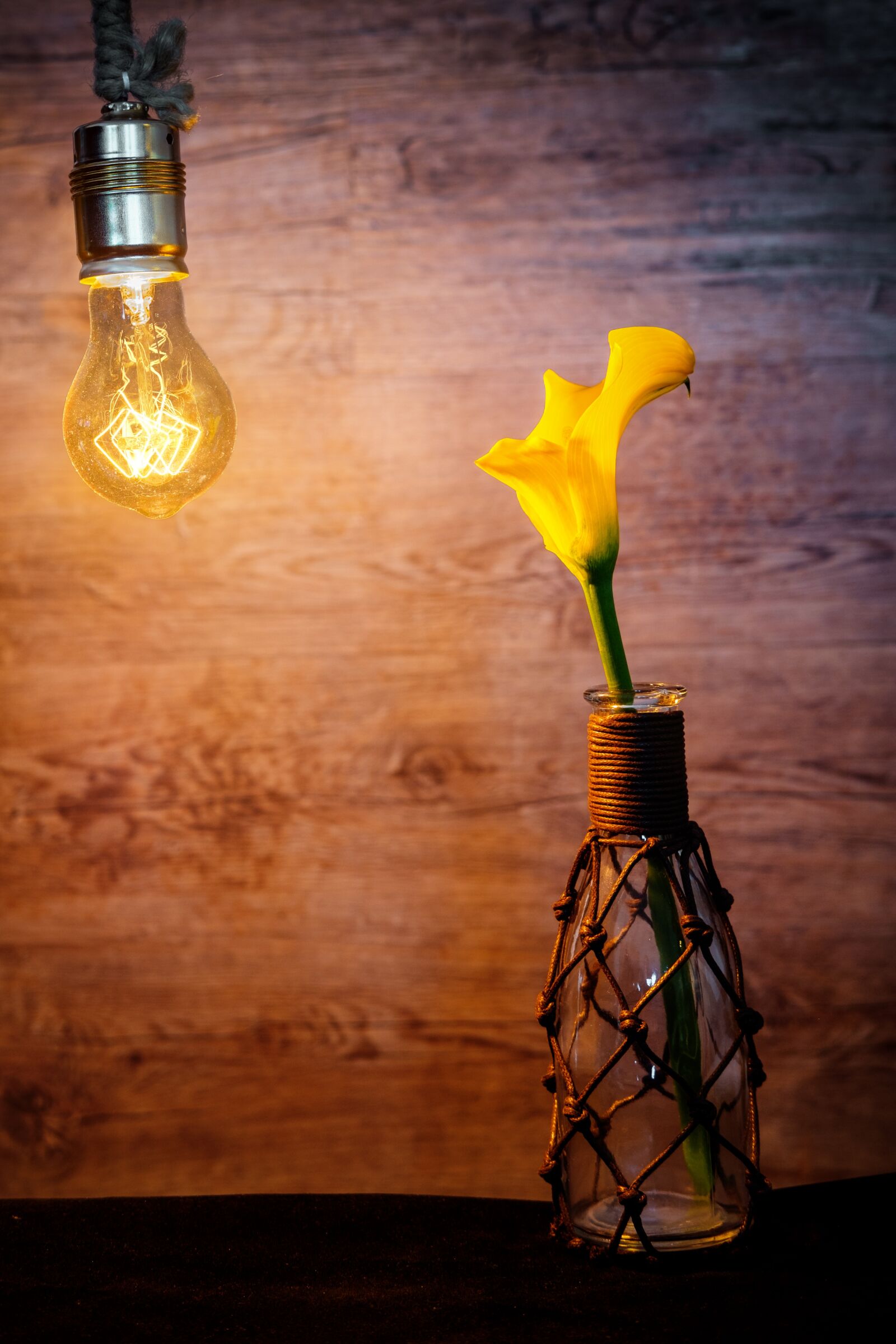 Fujifilm X-T2 + Fujifilm XF 35mm F2 R WR sample photo. Light bulb, bulbs, edison photography