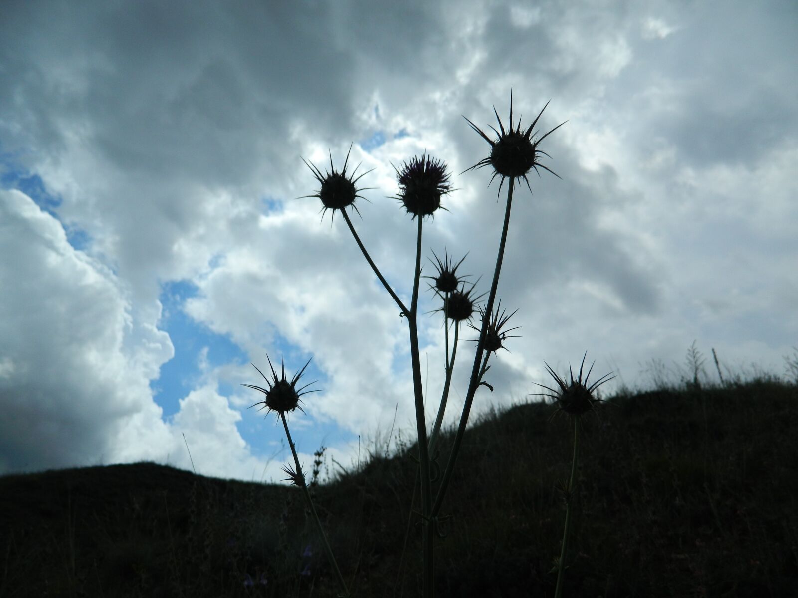 Nikon COOLPIX L310 sample photo. Sky, clouds, rain photography