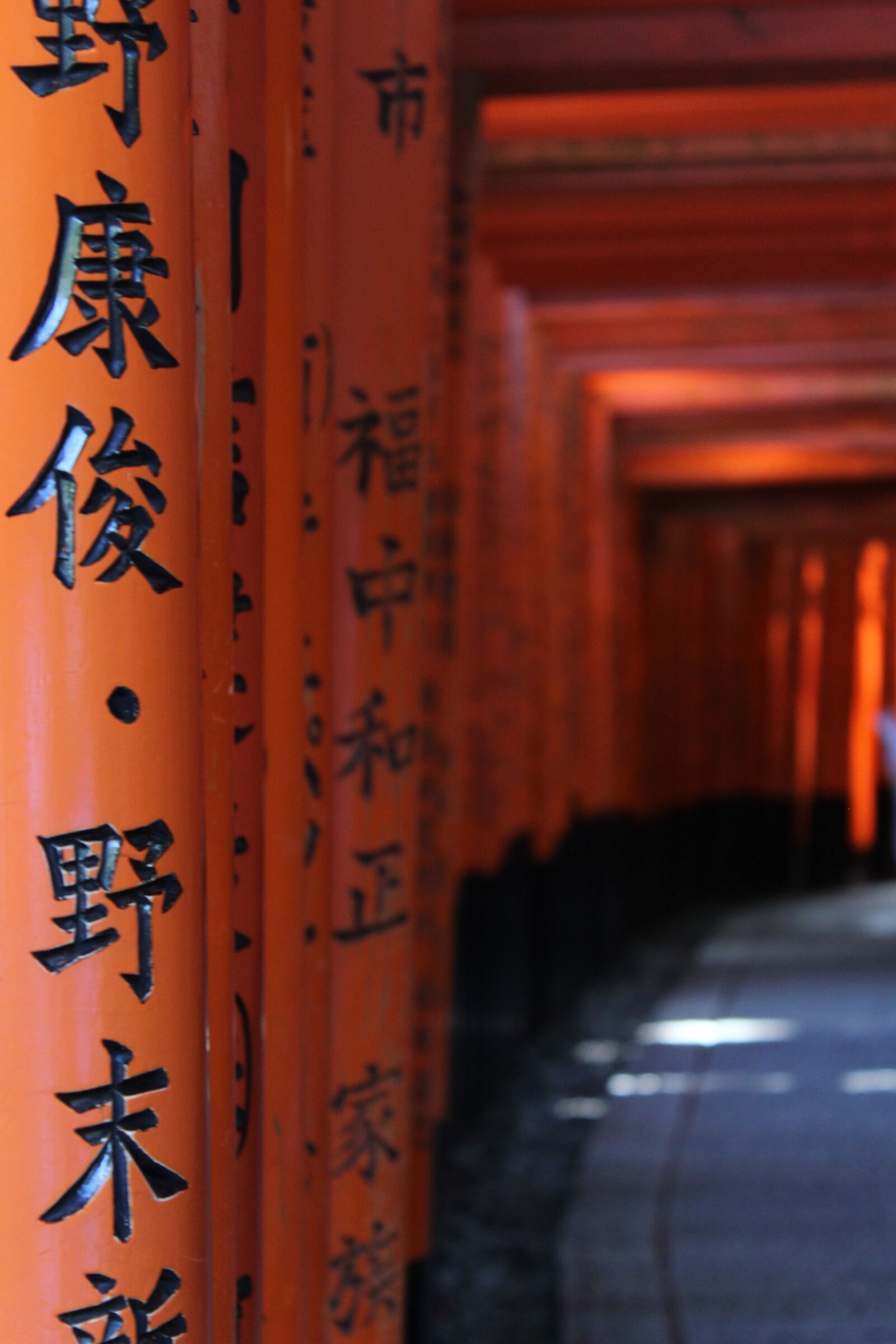 Canon EOS 1300D (EOS Rebel T6 / EOS Kiss X80) sample photo. Fushimi inari, kyoto, fushimiinari photography