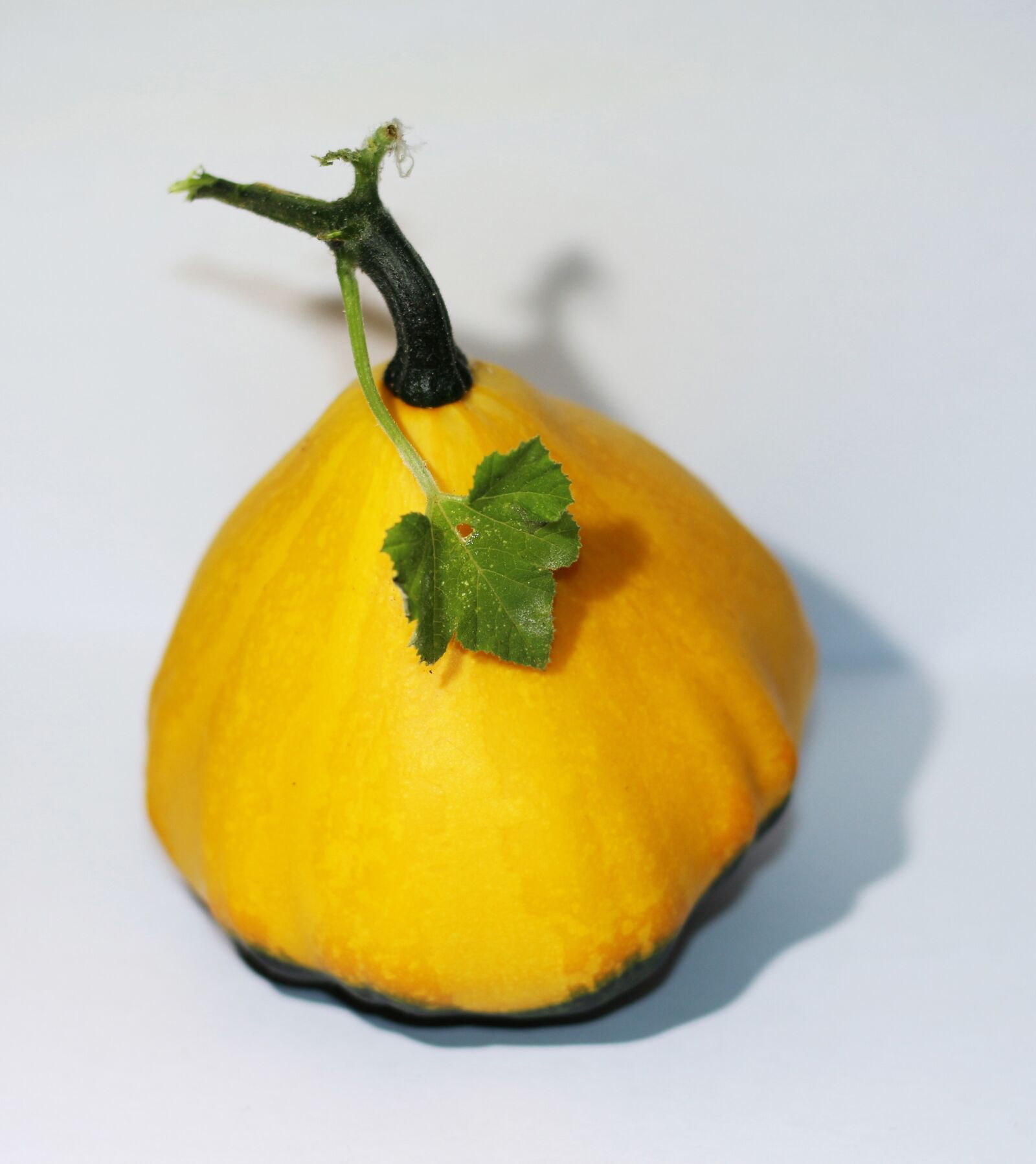 Canon EOS 700D (EOS Rebel T5i / EOS Kiss X7i) sample photo. Autumn, harvest, pumpkin photography