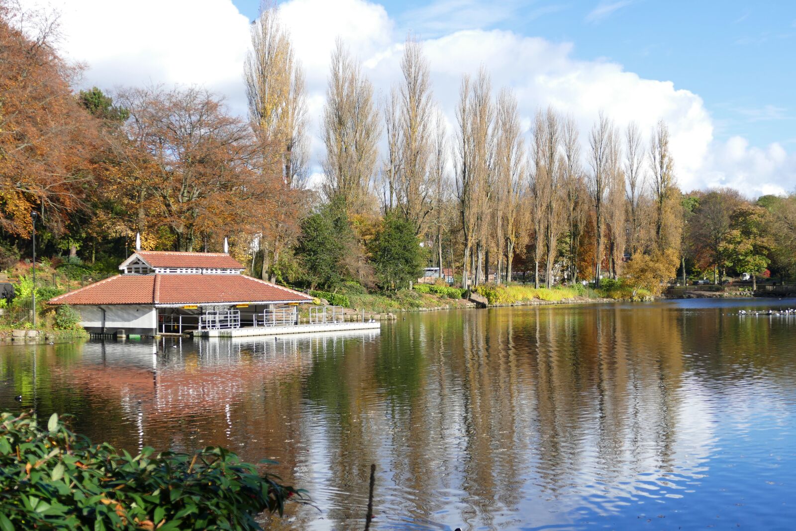 Panasonic Lumix DMC-FZ1000 sample photo. Walsall arboretum, walsall, attraction photography