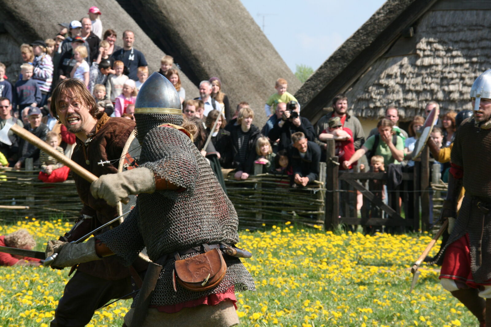 Sigma 18-200mm f/3.5-6.3 DC OS sample photo. Vikings photography