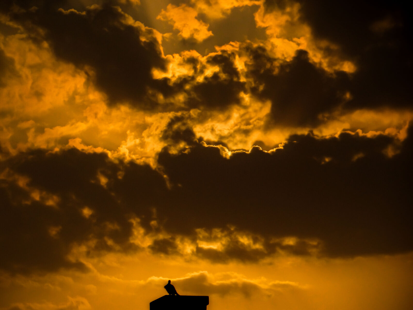 Sony Cyber-shot DSC-HX7V sample photo. The last watcher photography
