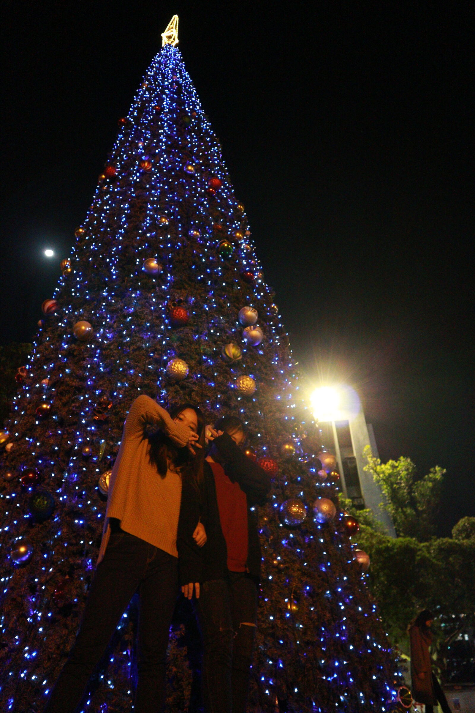 Canon EOS M sample photo. Illuminated, christmas, tree, at photography