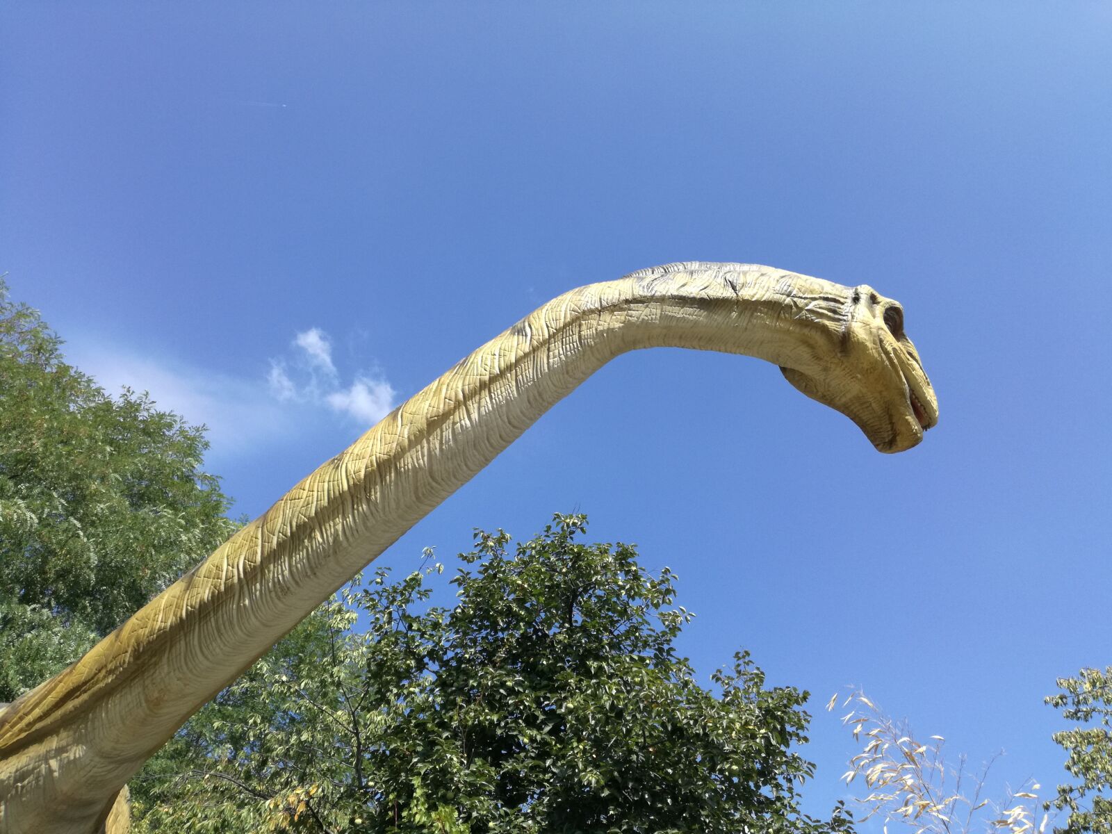 HUAWEI P9 LITE sample photo. Dinosaur, park, dinosaurs photography