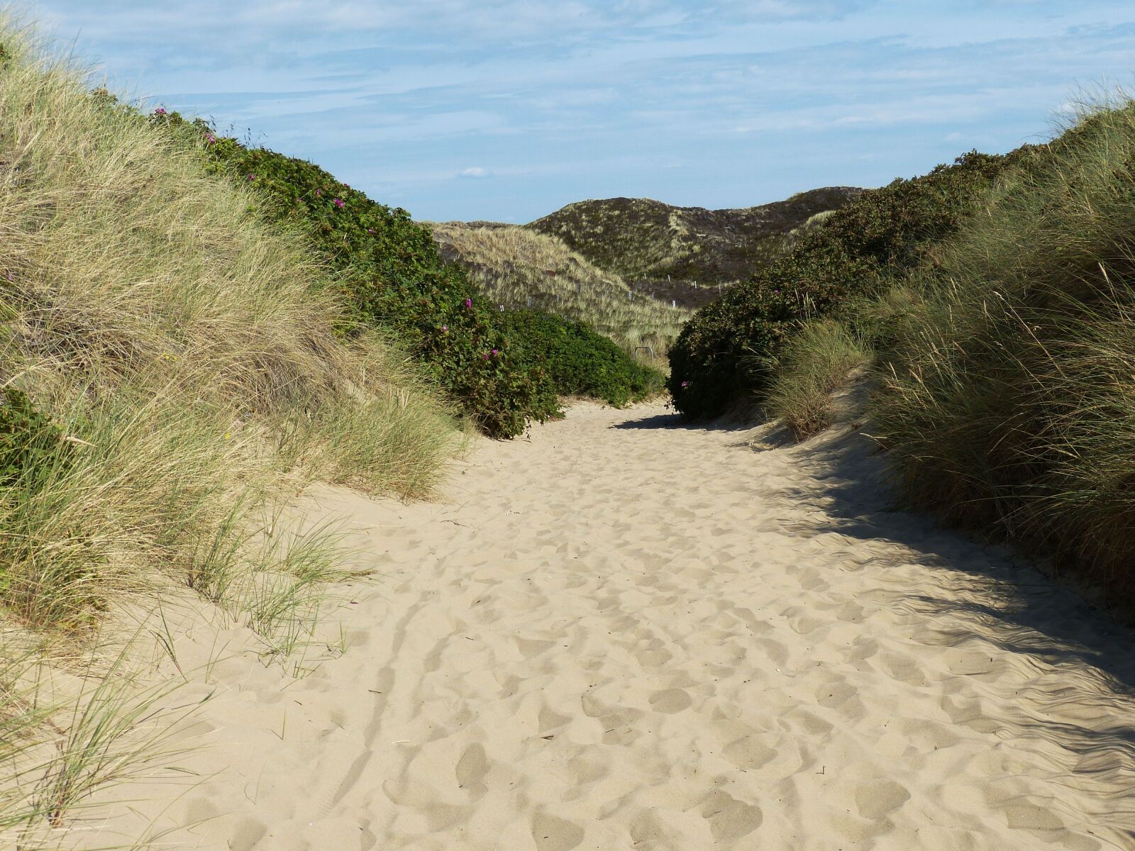 Panasonic Lumix DMC-FZ150 sample photo. Sylt, kampen, north sea photography