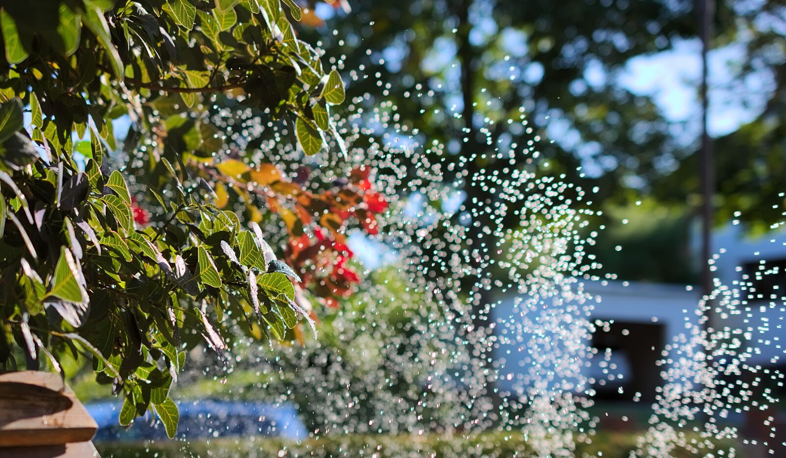 Nikon D7200 sample photo. Water sprinklers, drop of photography