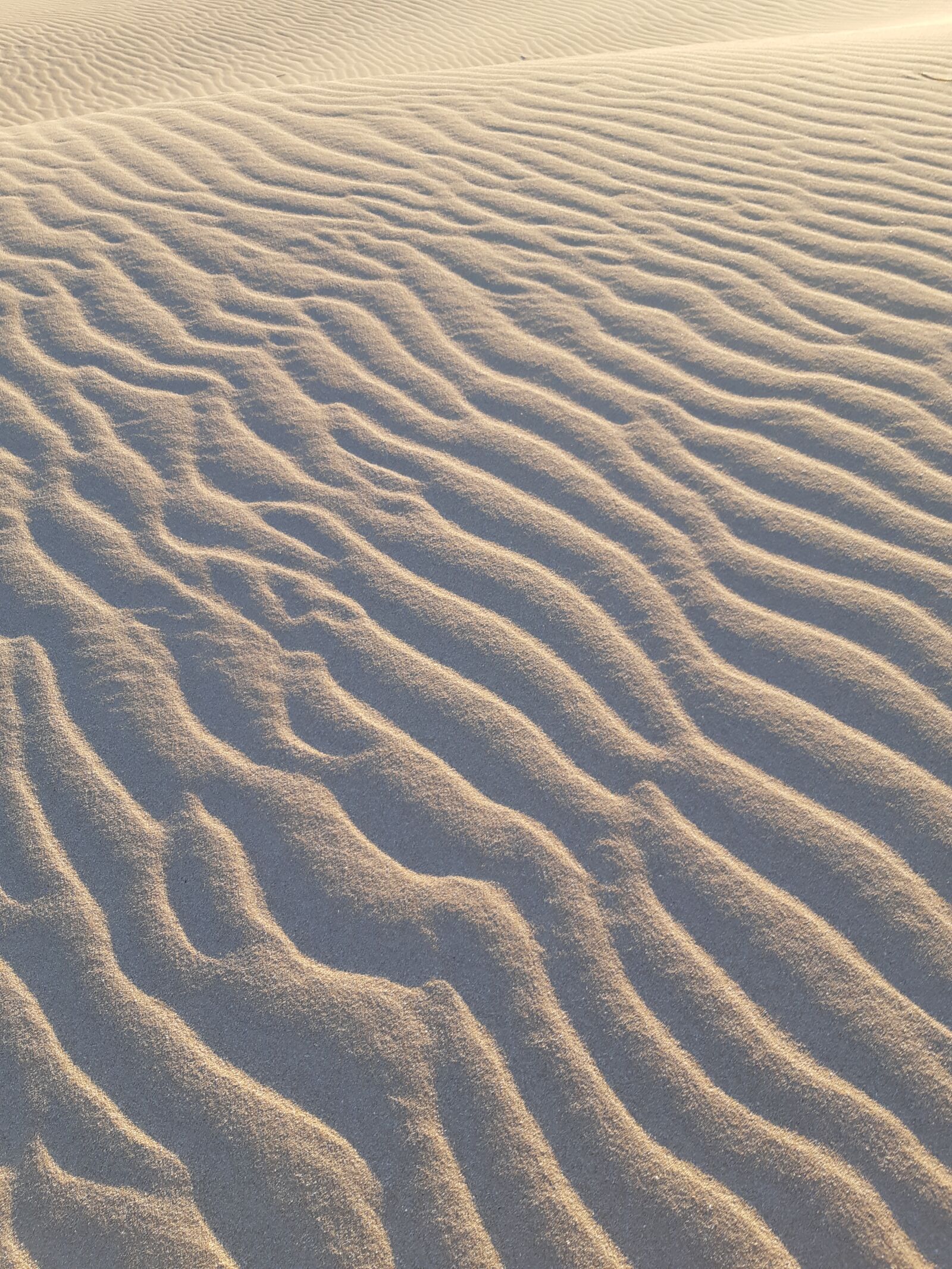 Samsung Galaxy A8(2018) sample photo. Earth hour, sand, earth photography