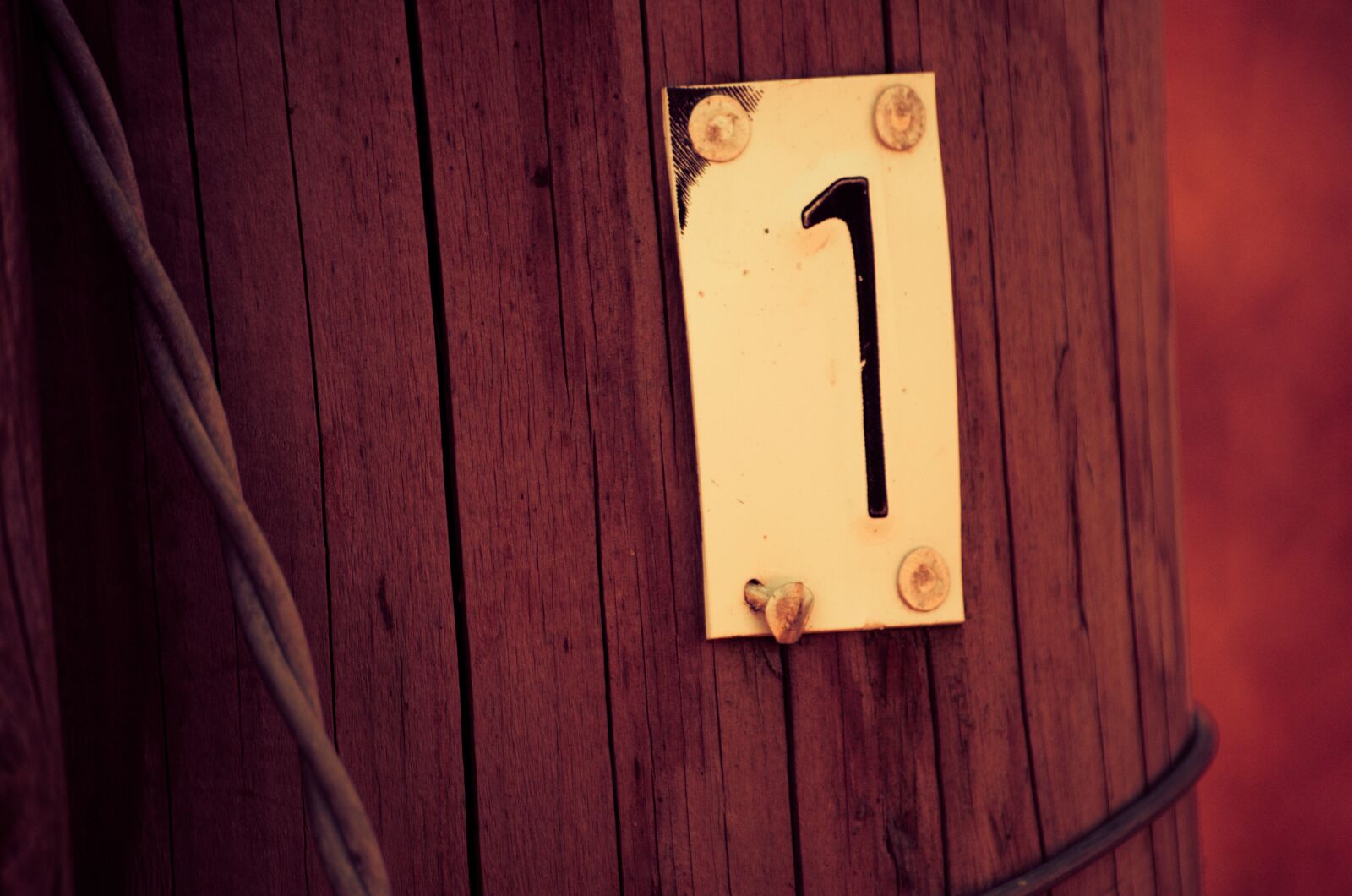 Nikon D5100 sample photo. Number 1, one, number photography