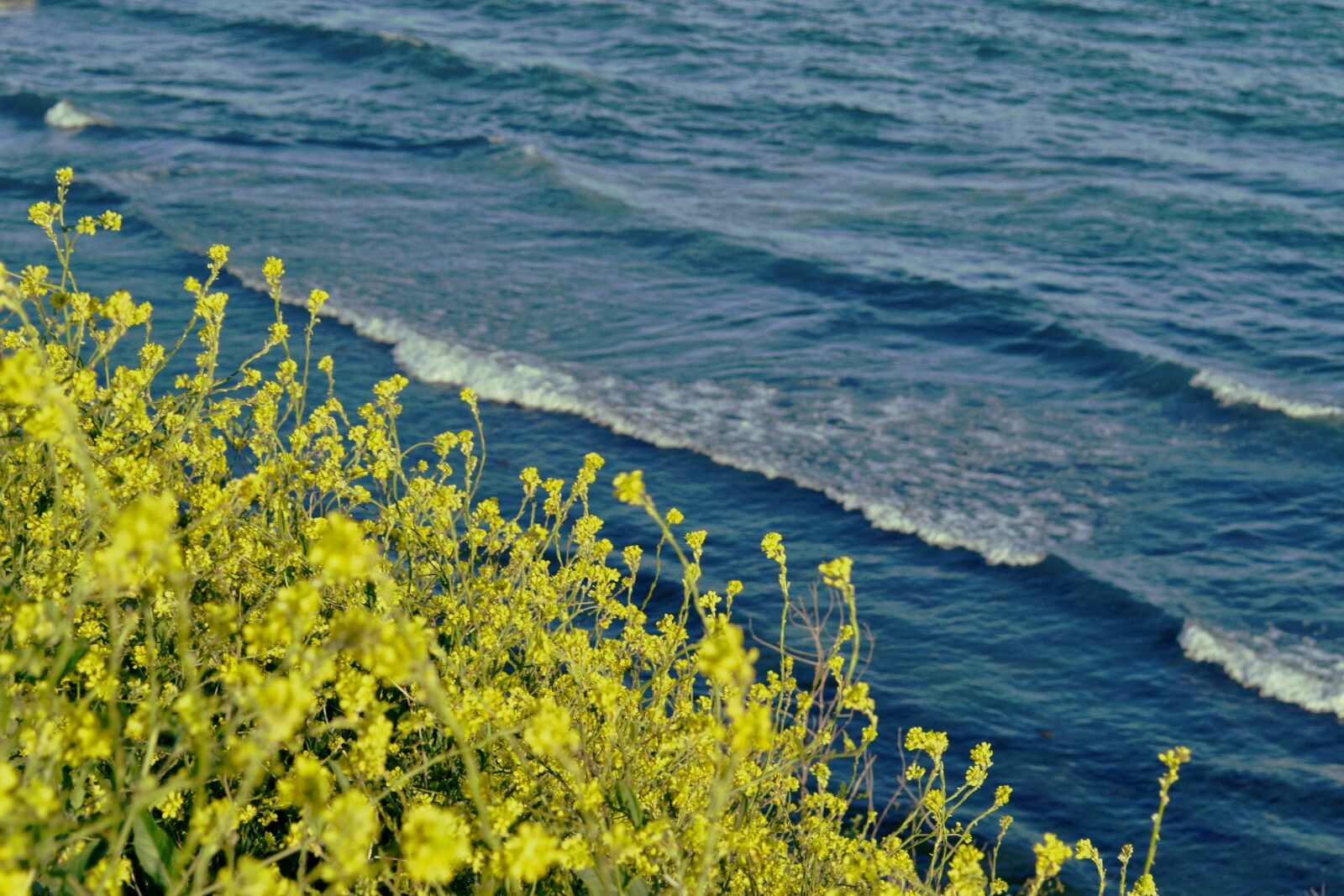 Nikon D3100 sample photo. I like your portrait photography