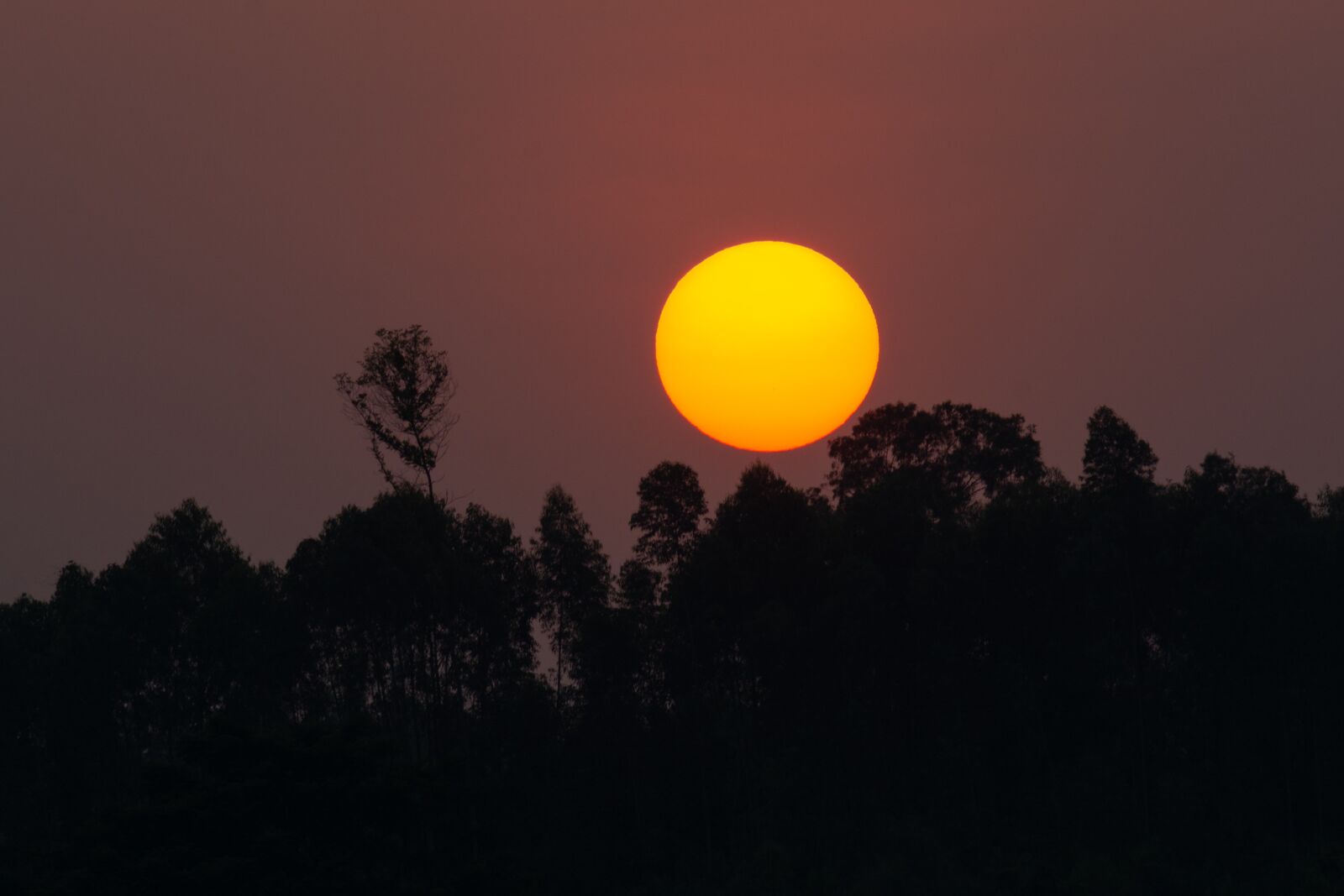 Nikon D7100 sample photo. Sun, sunset, landscape photography