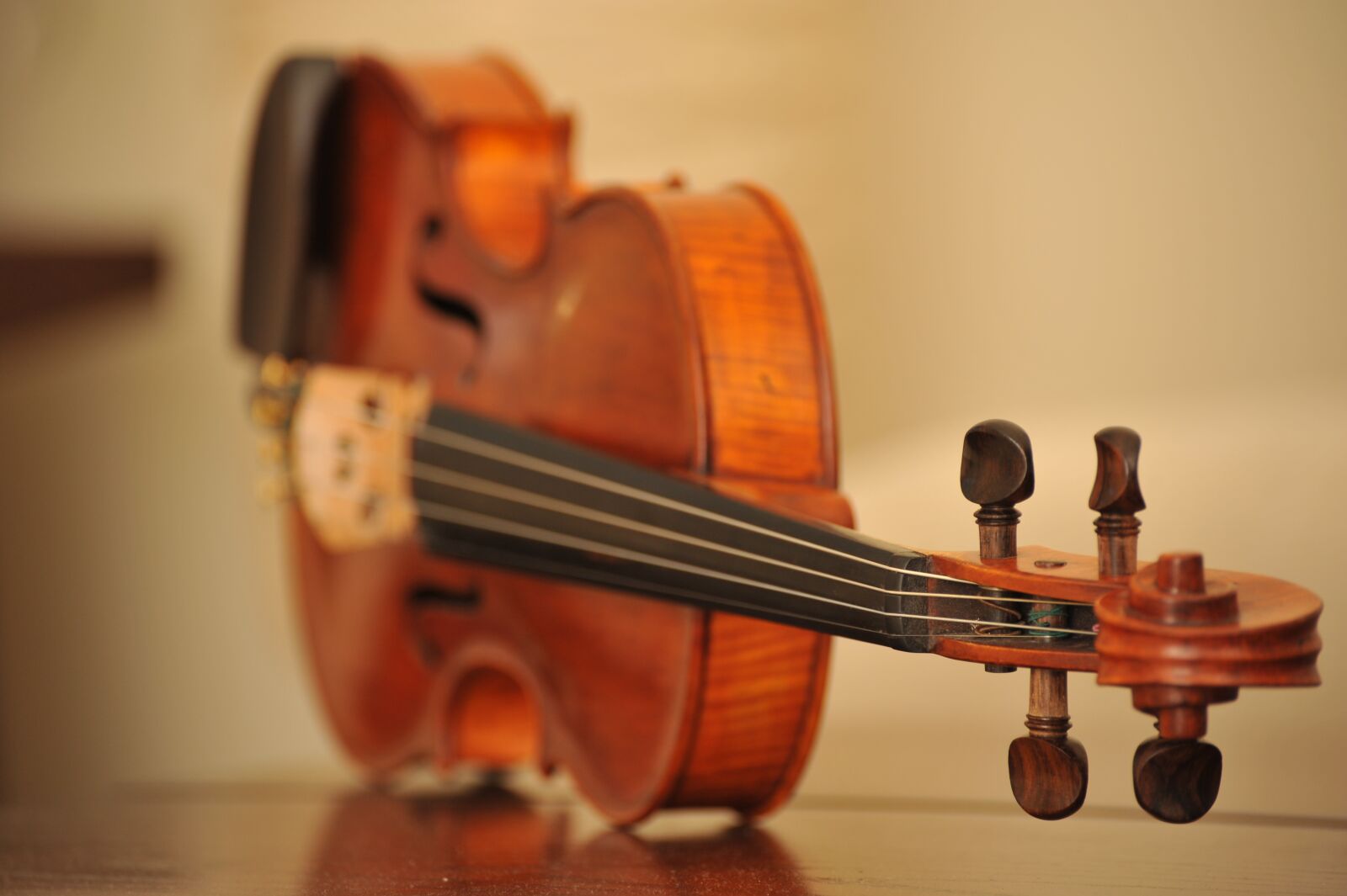 Nikon D700 sample photo. Violin, instrument, music photography