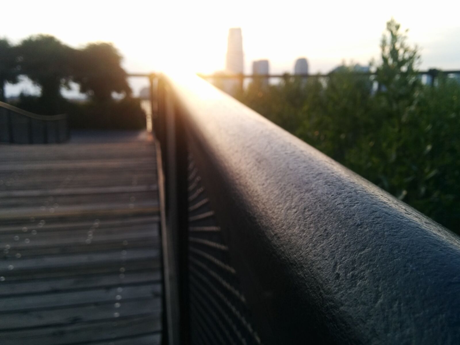 LG Nexus 5 sample photo