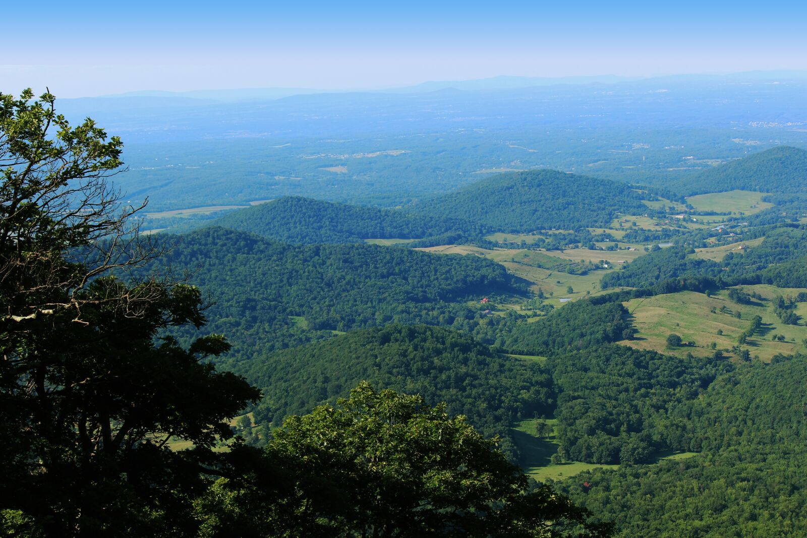 Canon EOS 600D (Rebel EOS T3i / EOS Kiss X5) sample photo. Shenandoah valley, virginia, summer photography