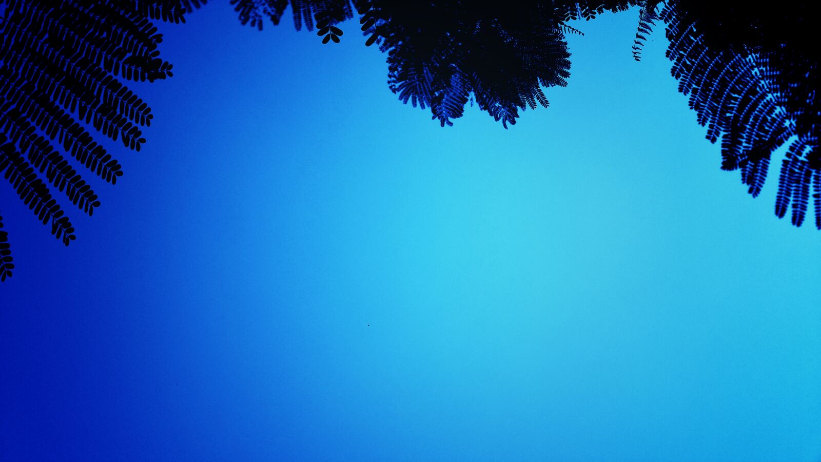 Samsung Galaxy Note4 sample photo. Black, blue, blue, sky photography