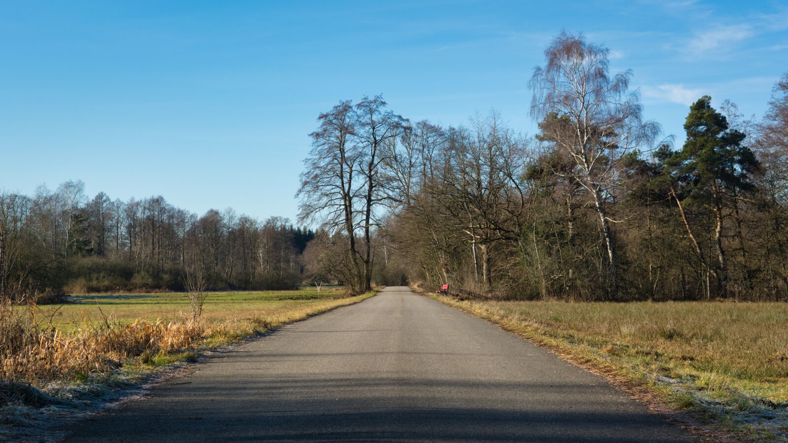 Nikon D7100 sample photo. Away, road, nature photography