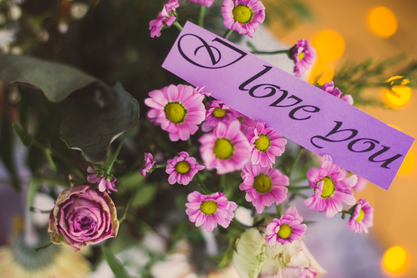 Canon EOS 6D + Canon EF 50mm F1.8 STM sample photo. Love, relationship, pair photography