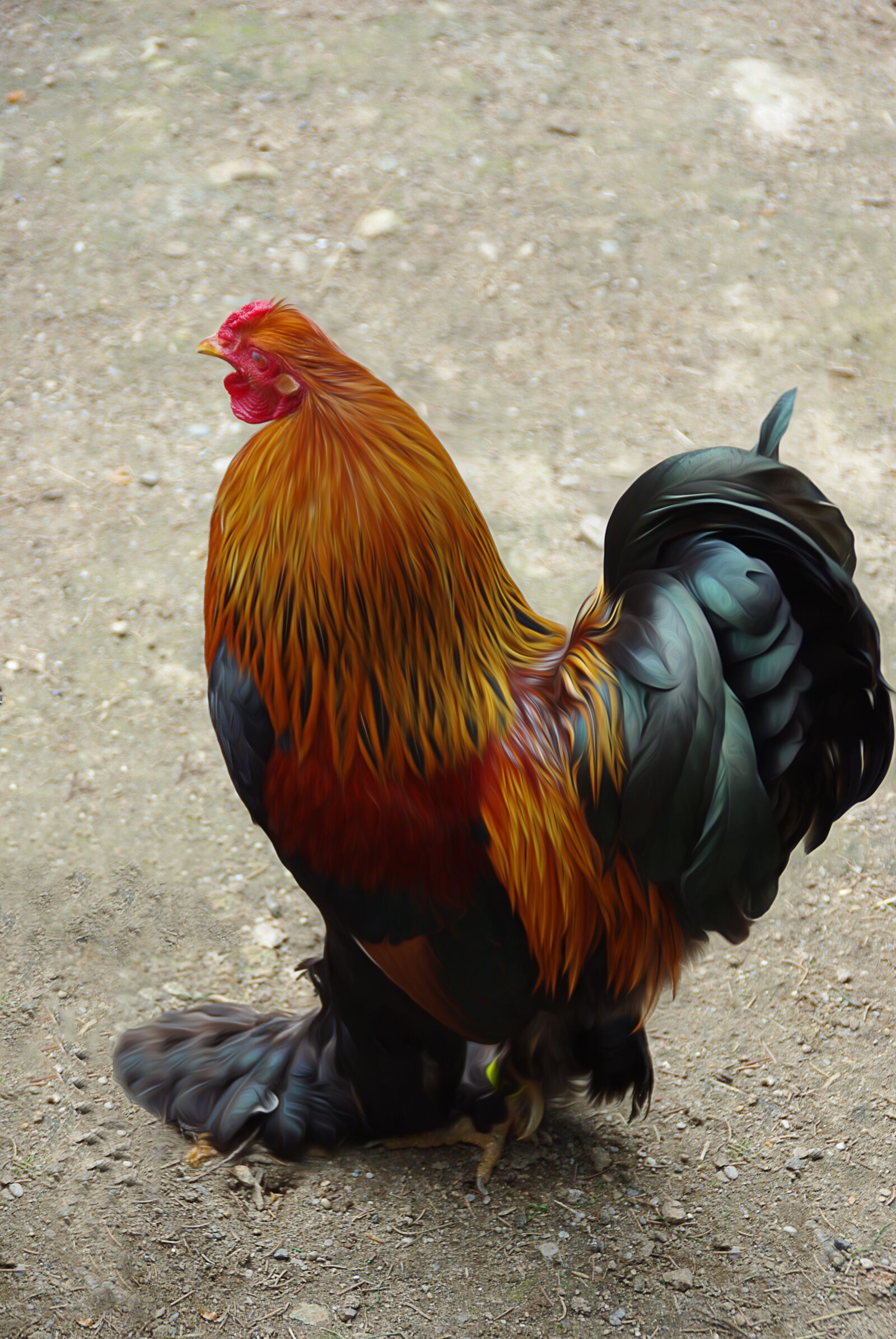 Pentax K200D sample photo. Animal, nature, colorful photography