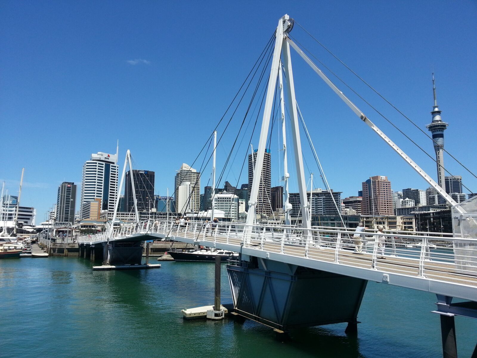 Samsung Galaxy S3 sample photo. New zealand, auckland, city photography