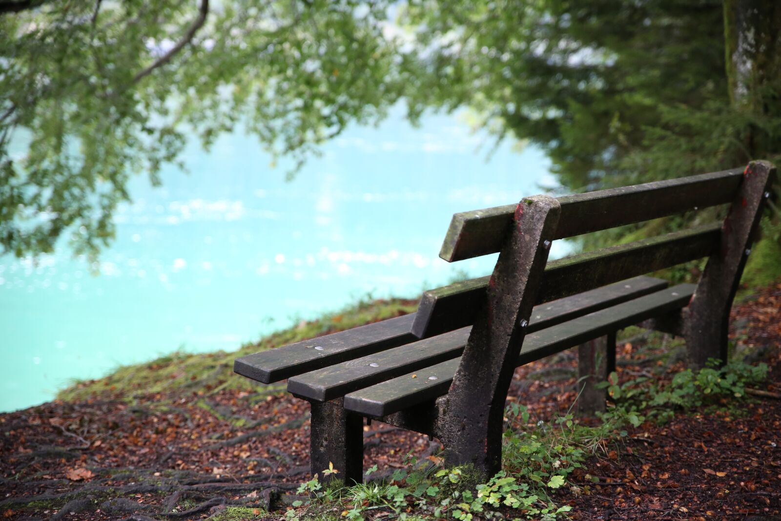 Canon EOS 5D Mark III sample photo. Bank, lake, achensee photography