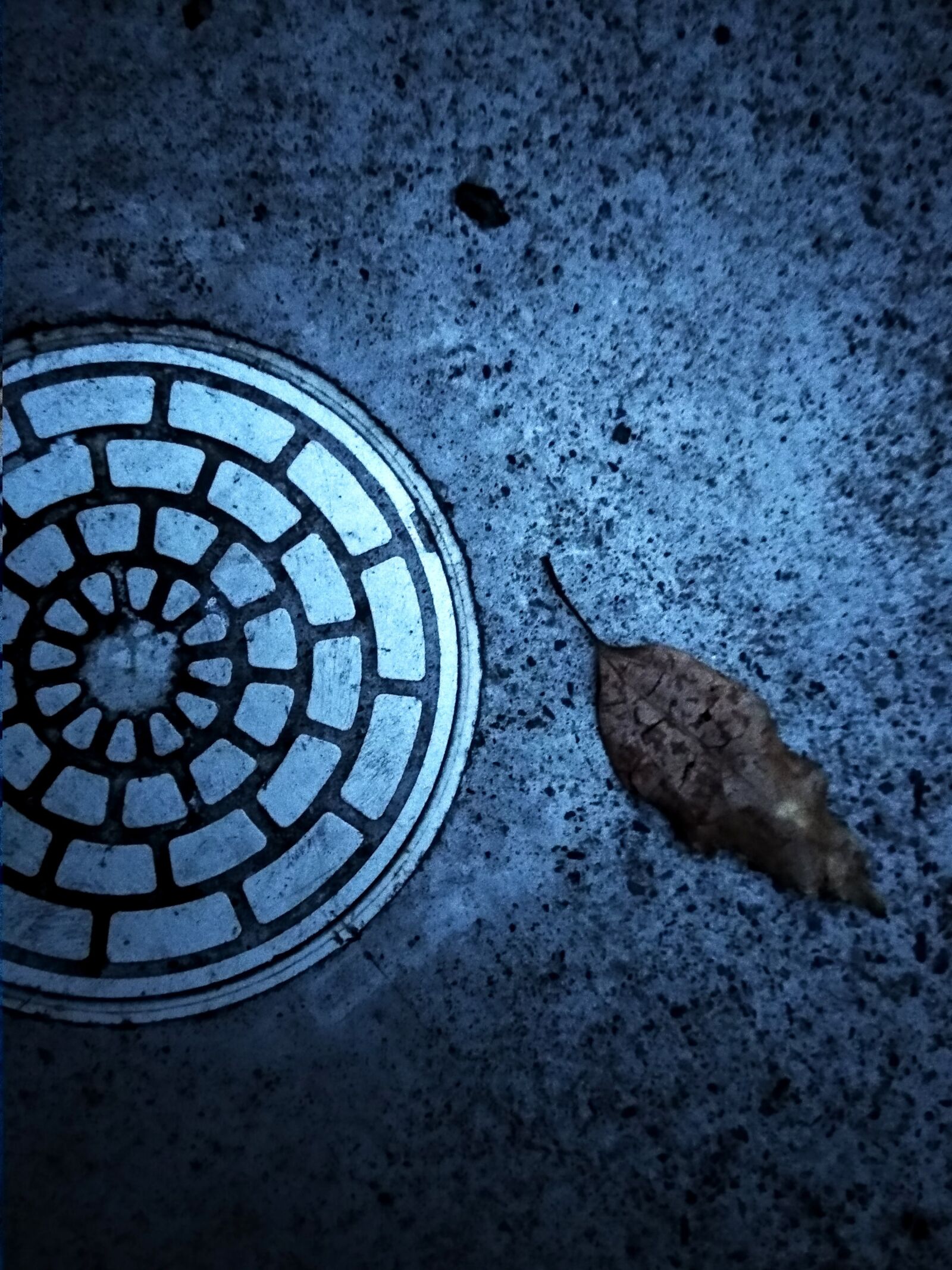 Xiaomi Mi A1 sample photo. Background, pavement, falling leaf photography