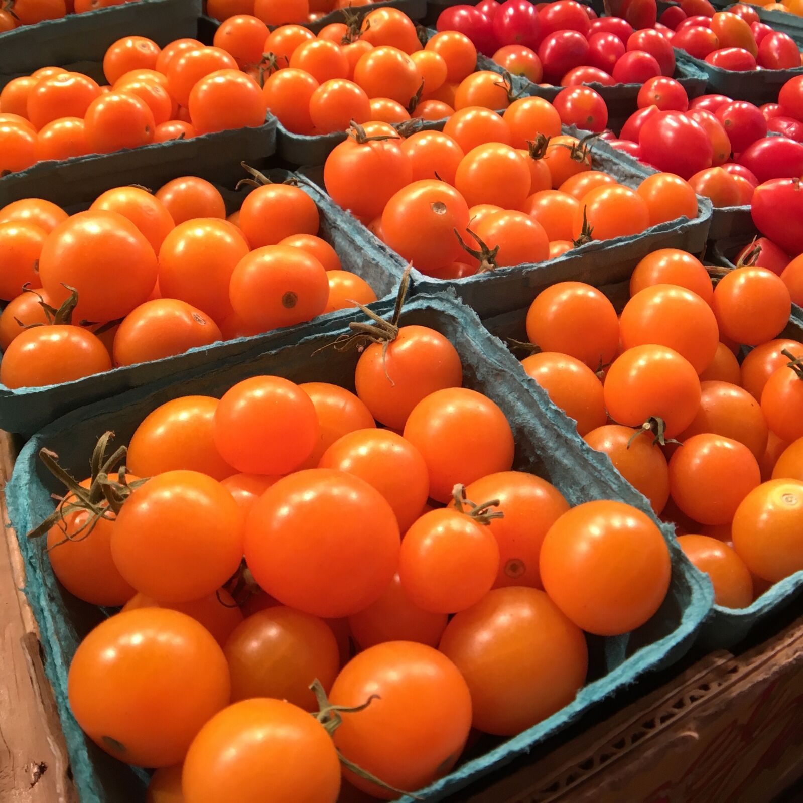 Apple iPhone 6s sample photo. Tomatoes, tomato, fresh photography