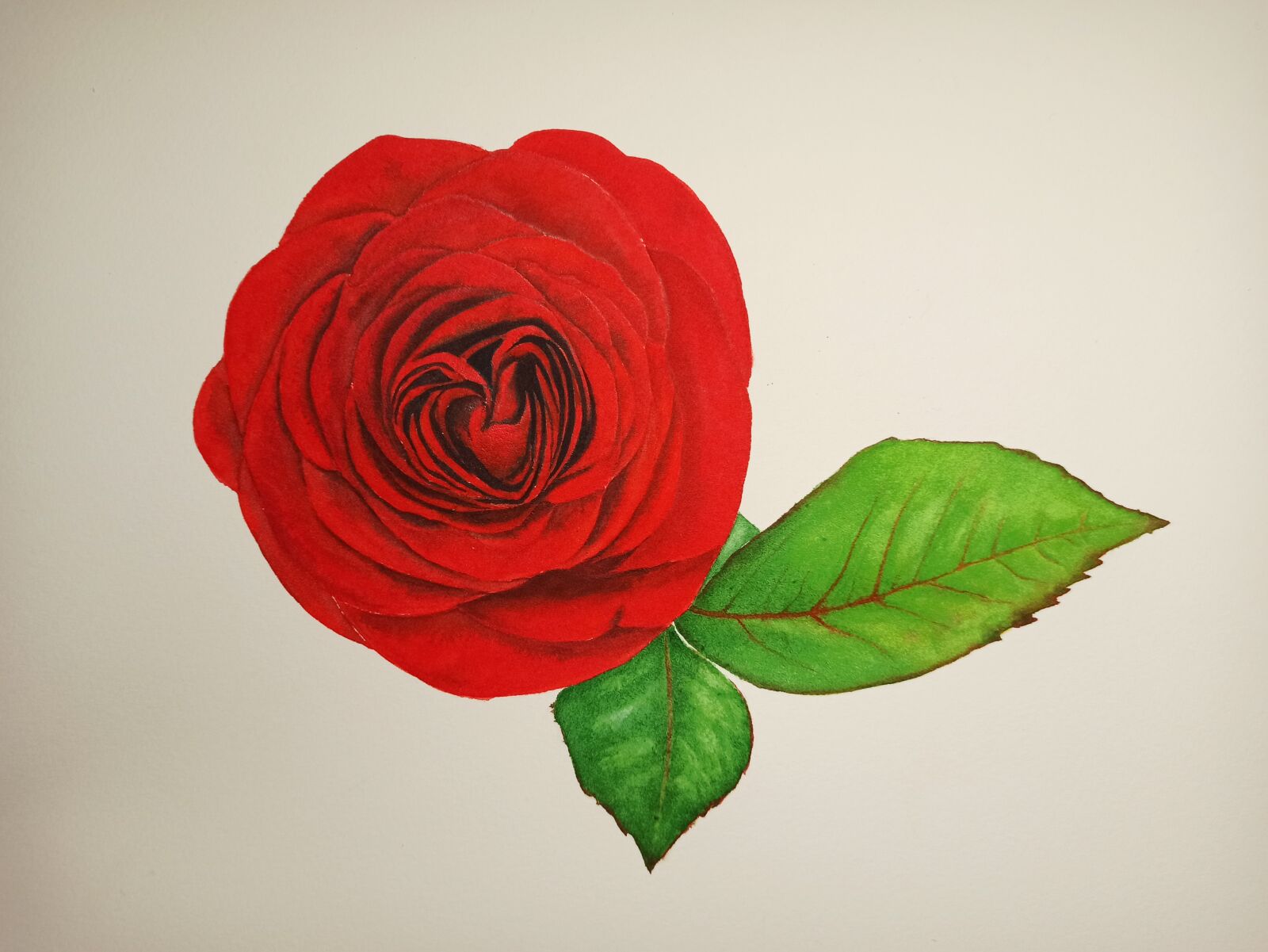Xiaomi Redmi Note 8 Pro sample photo. Watercolor, red rose, green photography