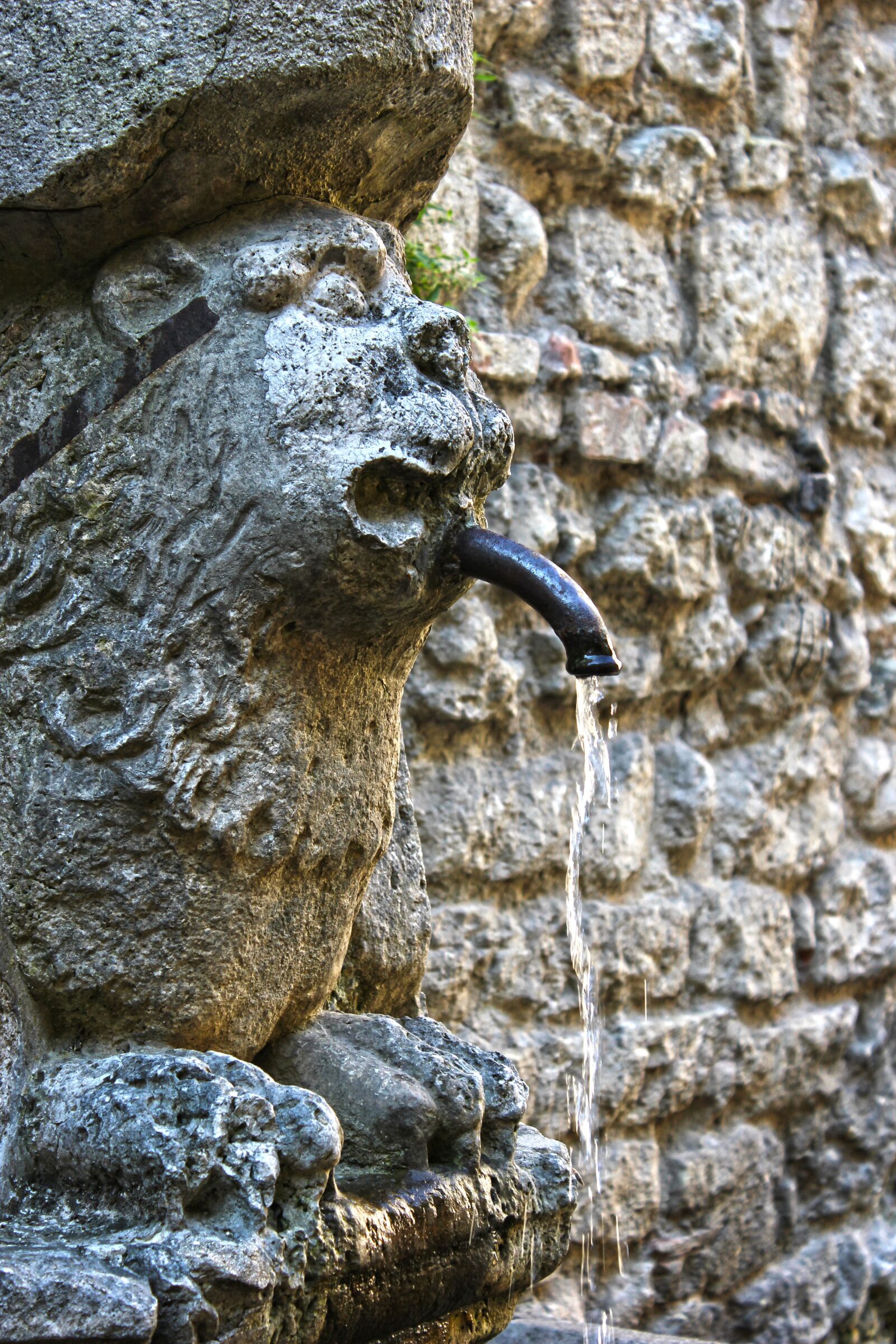 Canon EOS 550D (EOS Rebel T2i / EOS Kiss X4) sample photo. Water, thirst, fresh photography