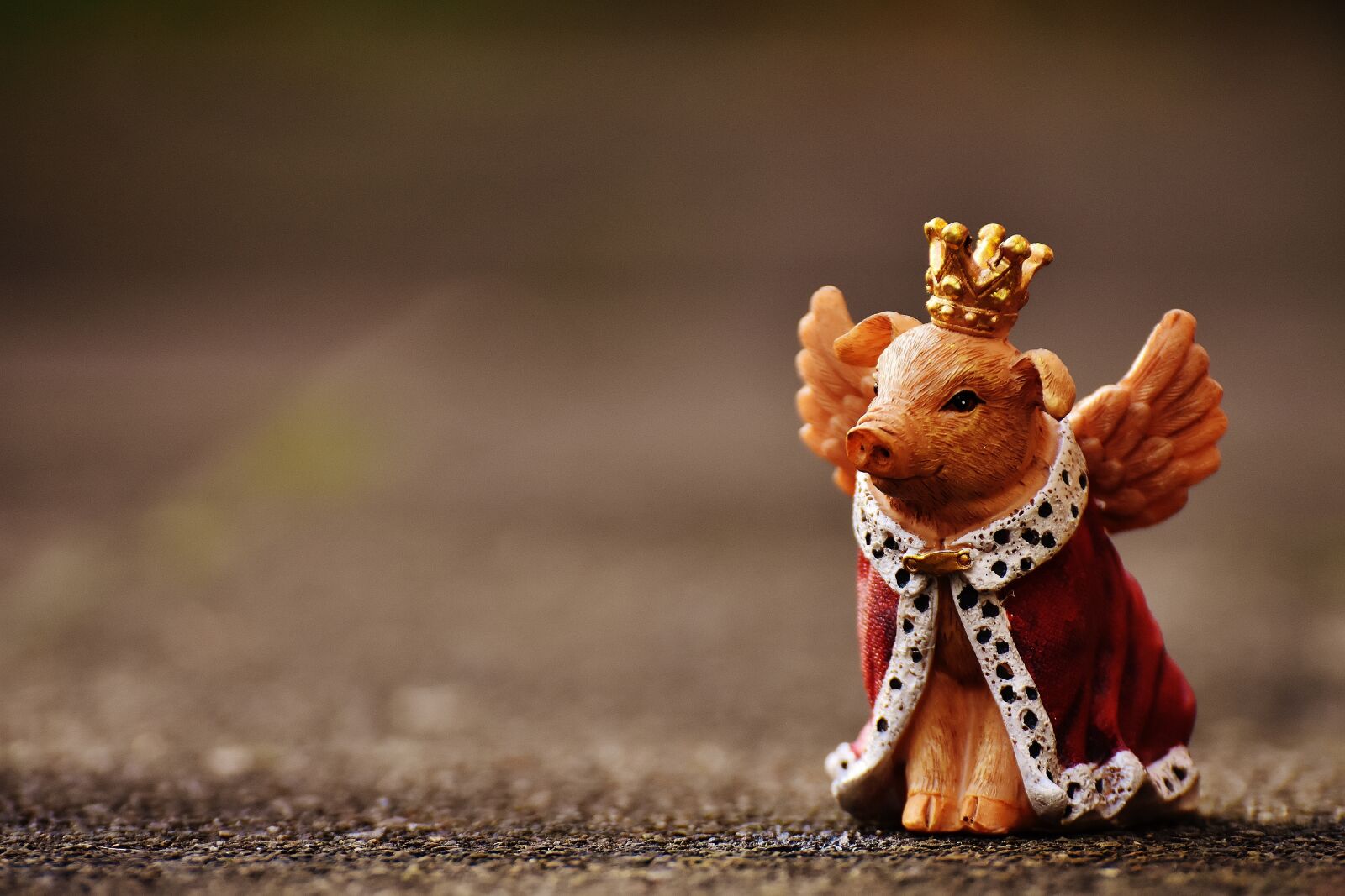 Nikon D7200 sample photo. Lucky pig, guardian angel photography