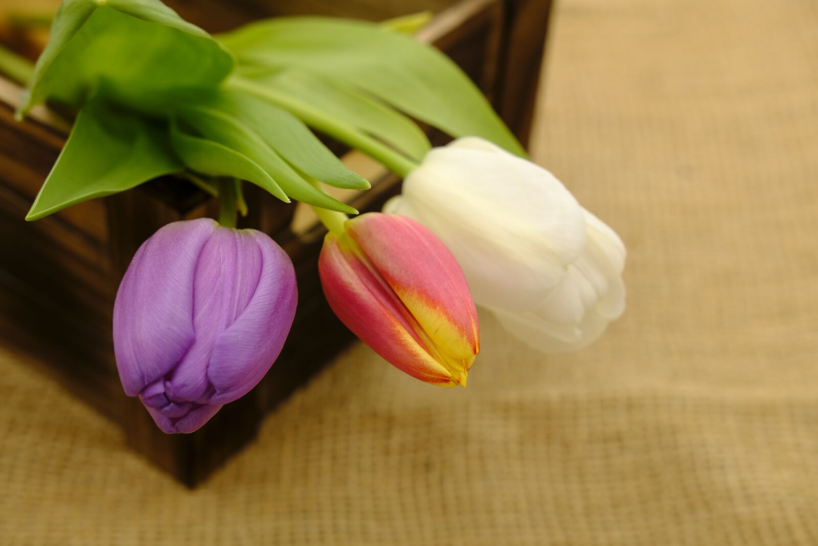 Fujifilm X-T2 + Fujifilm XF 35mm F2 R WR sample photo. Tulips, bouquet, tulip bouquet photography